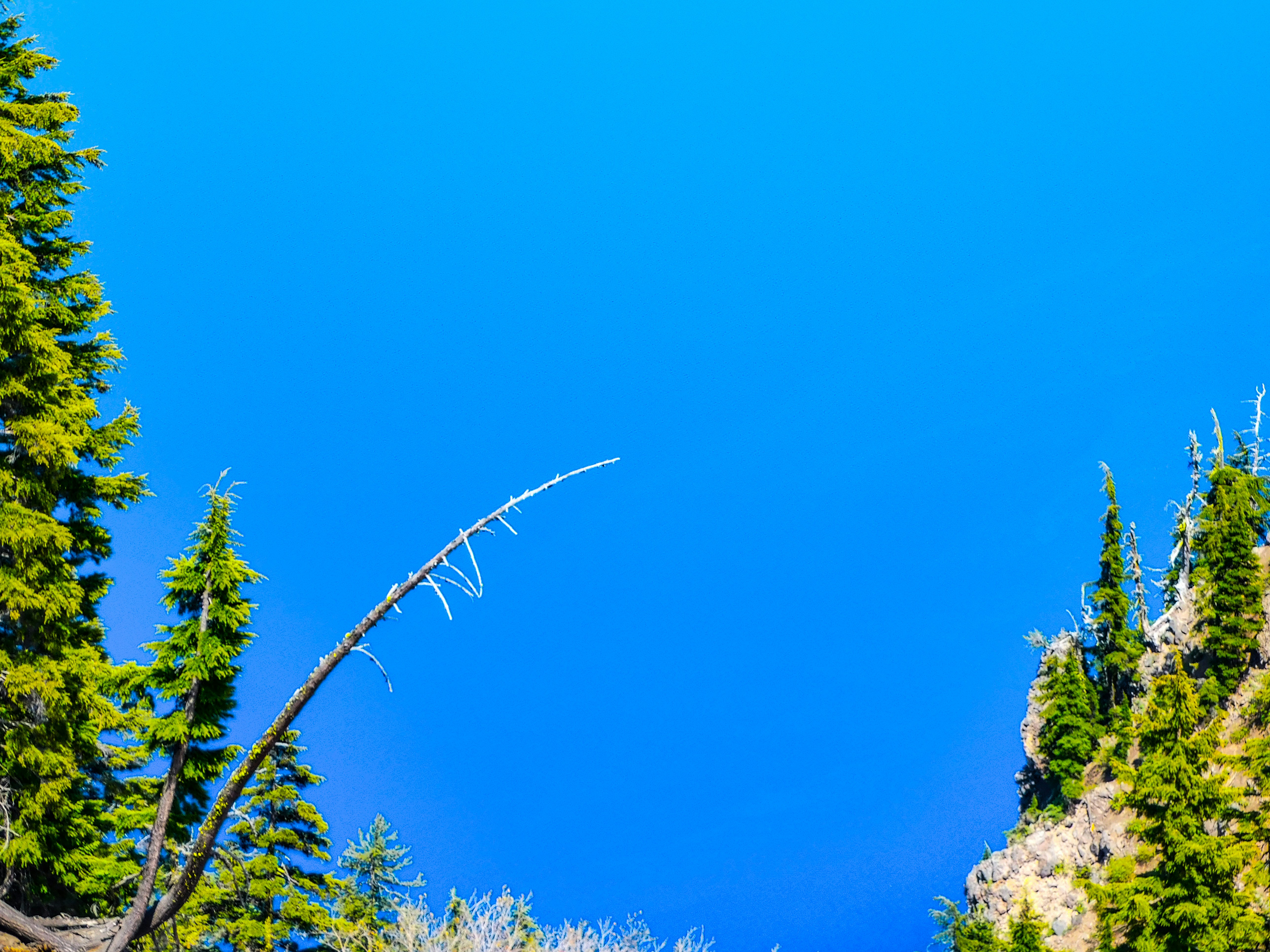 Photo by prphotography262