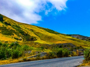 A scenic open road winding through golden hills under a bright blue sky.