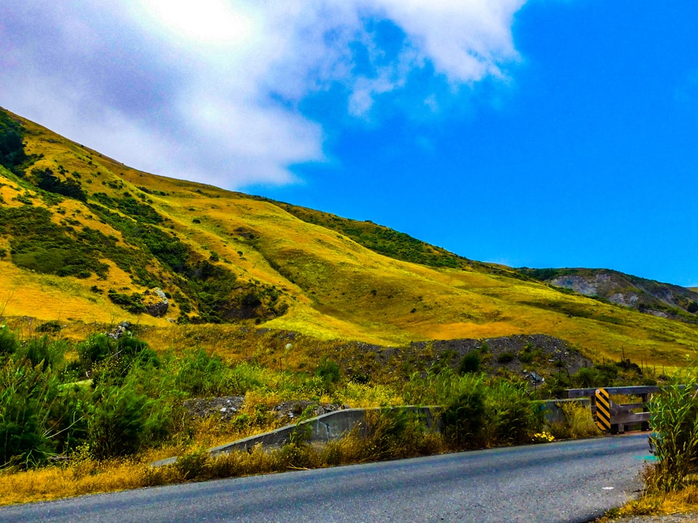 a road with a mountain in the background