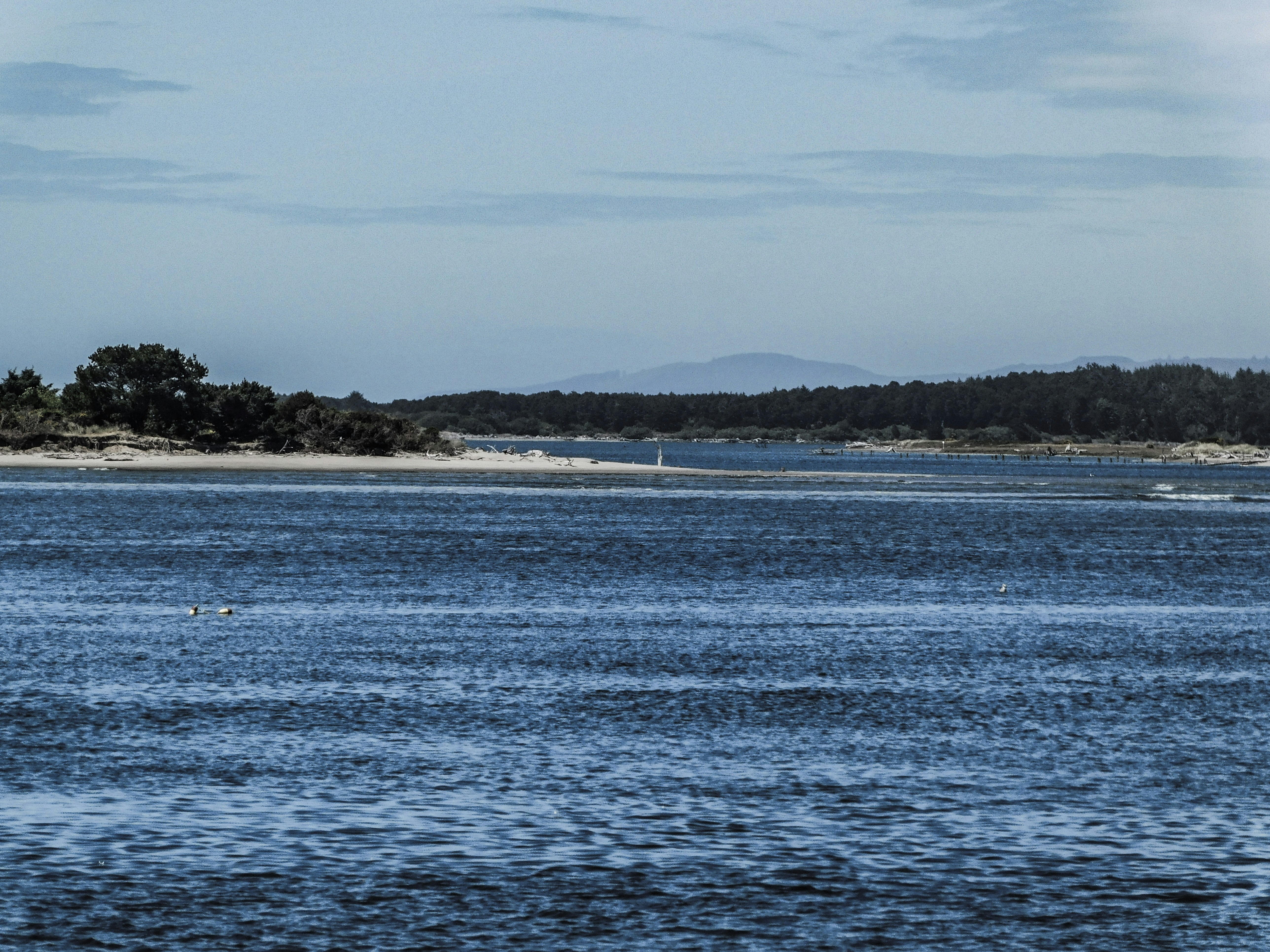 Photo by prphotography262