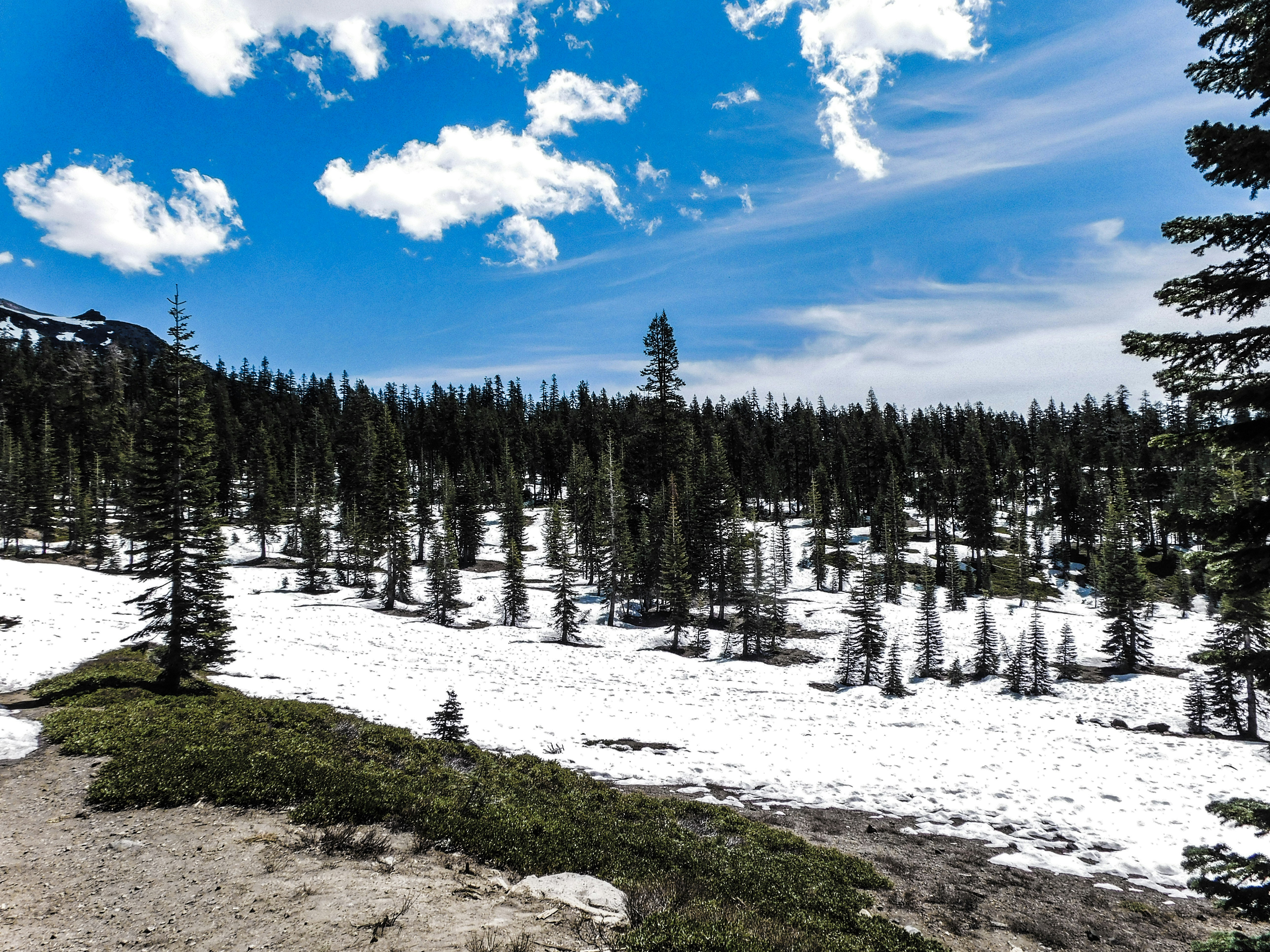 Photo by prphotography262