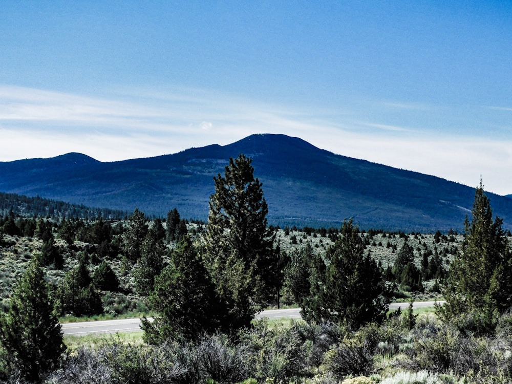 a scenic view of a mountain range with trees in the foreground