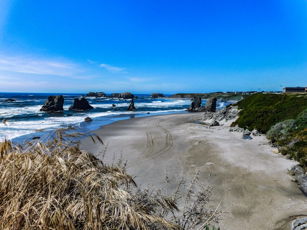 a sandy beach next to the ocean under a blue sky