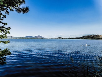 a large body of water surrounded by trees