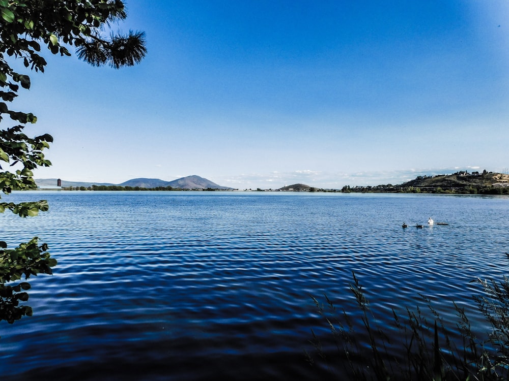 a large body of water surrounded by trees