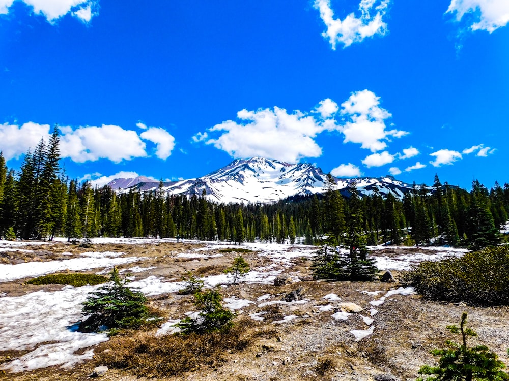 a snow covered field with a mountain in the background