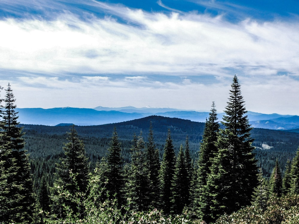 a view of the mountains and trees from the top of a hill