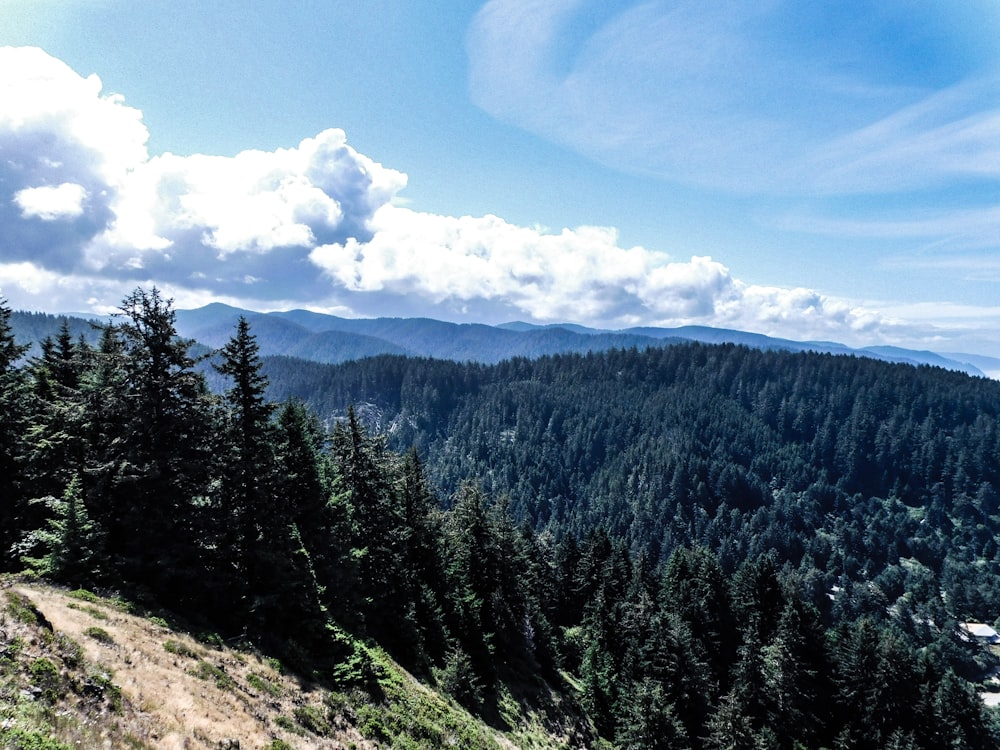 uma vista panorâmica de uma floresta e montanhas