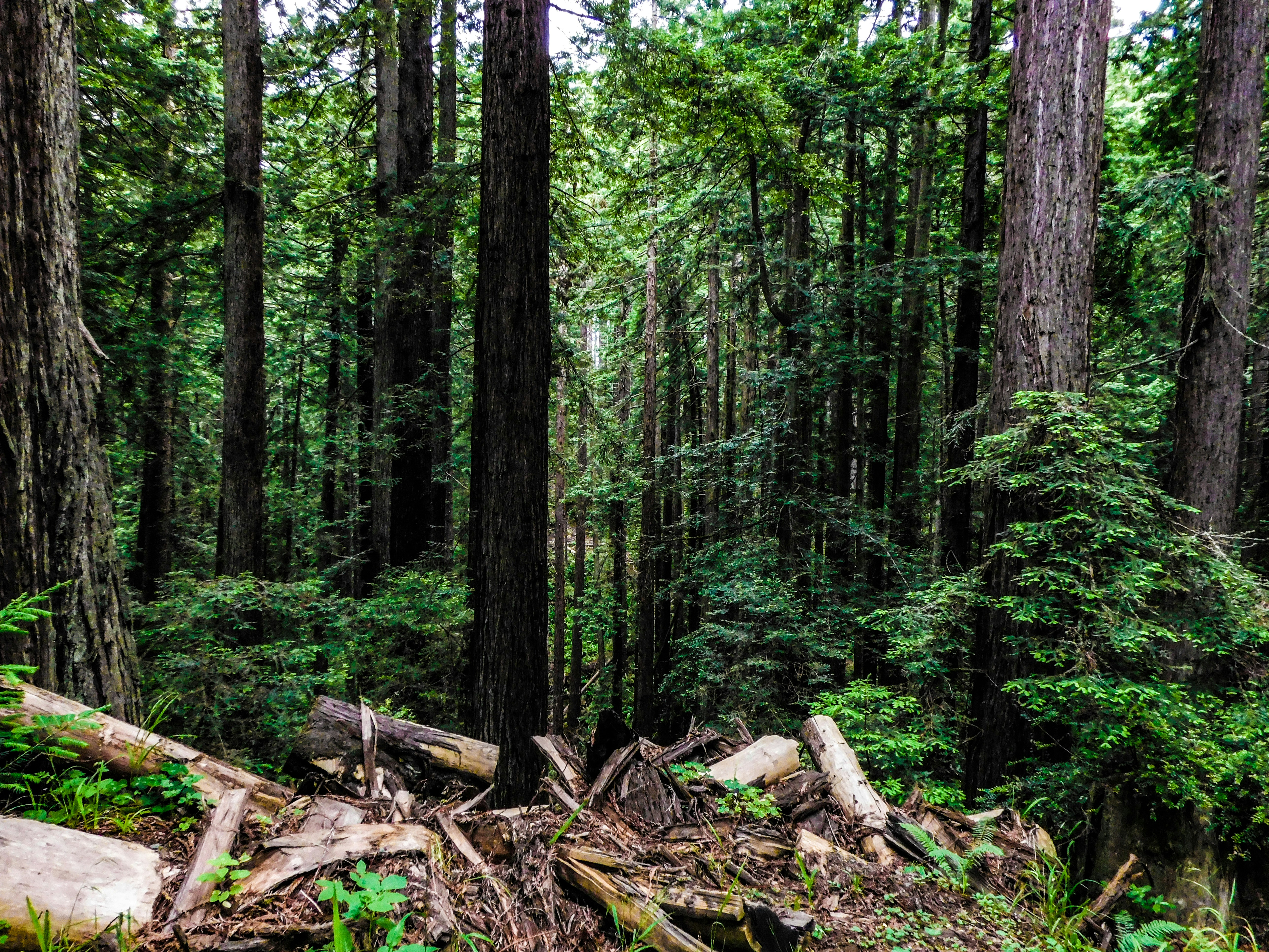 Photo by prphotography262