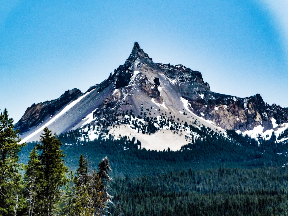 a snow covered mountain surrounded by pine trees