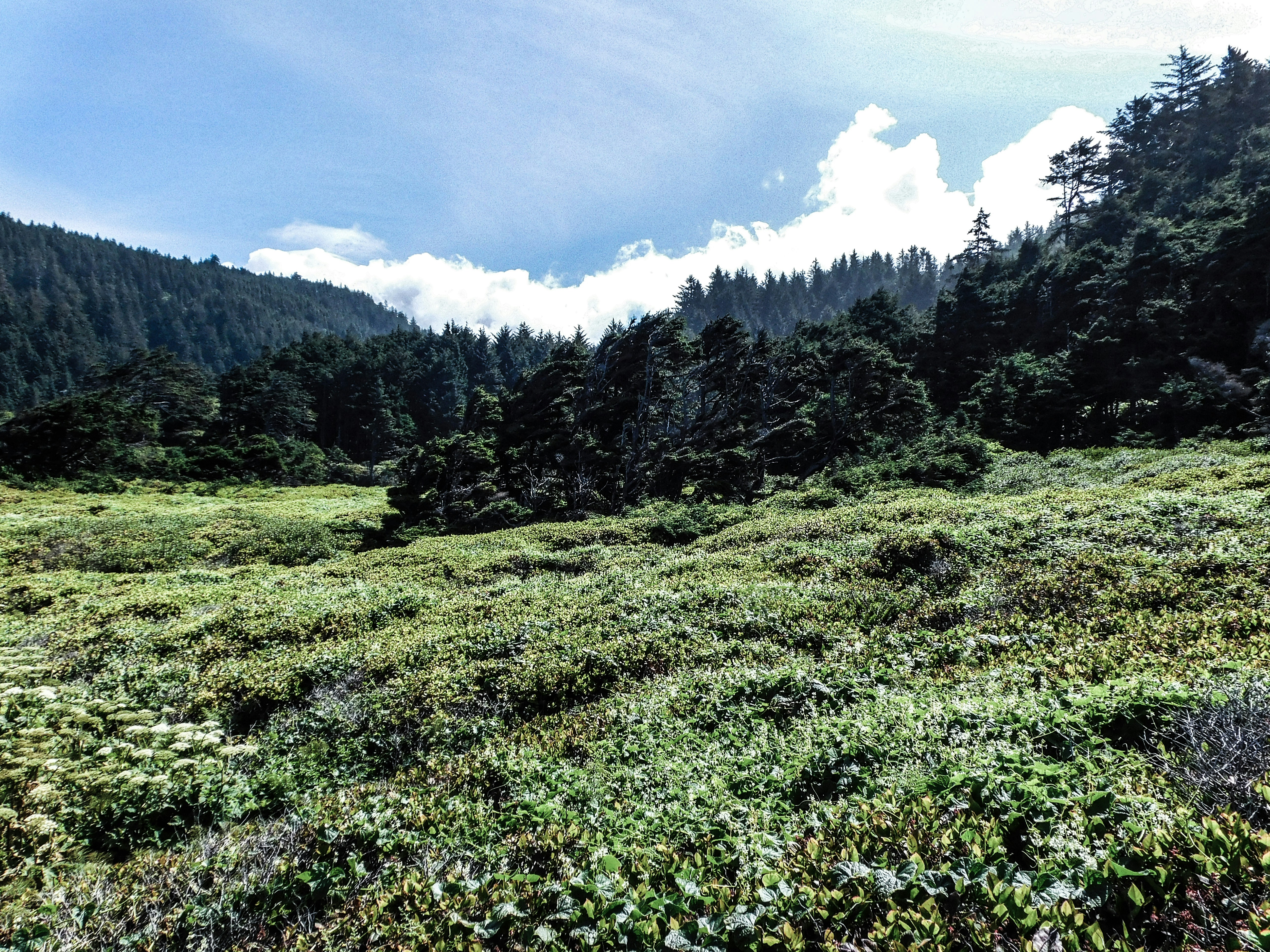 Photo by prphotography262