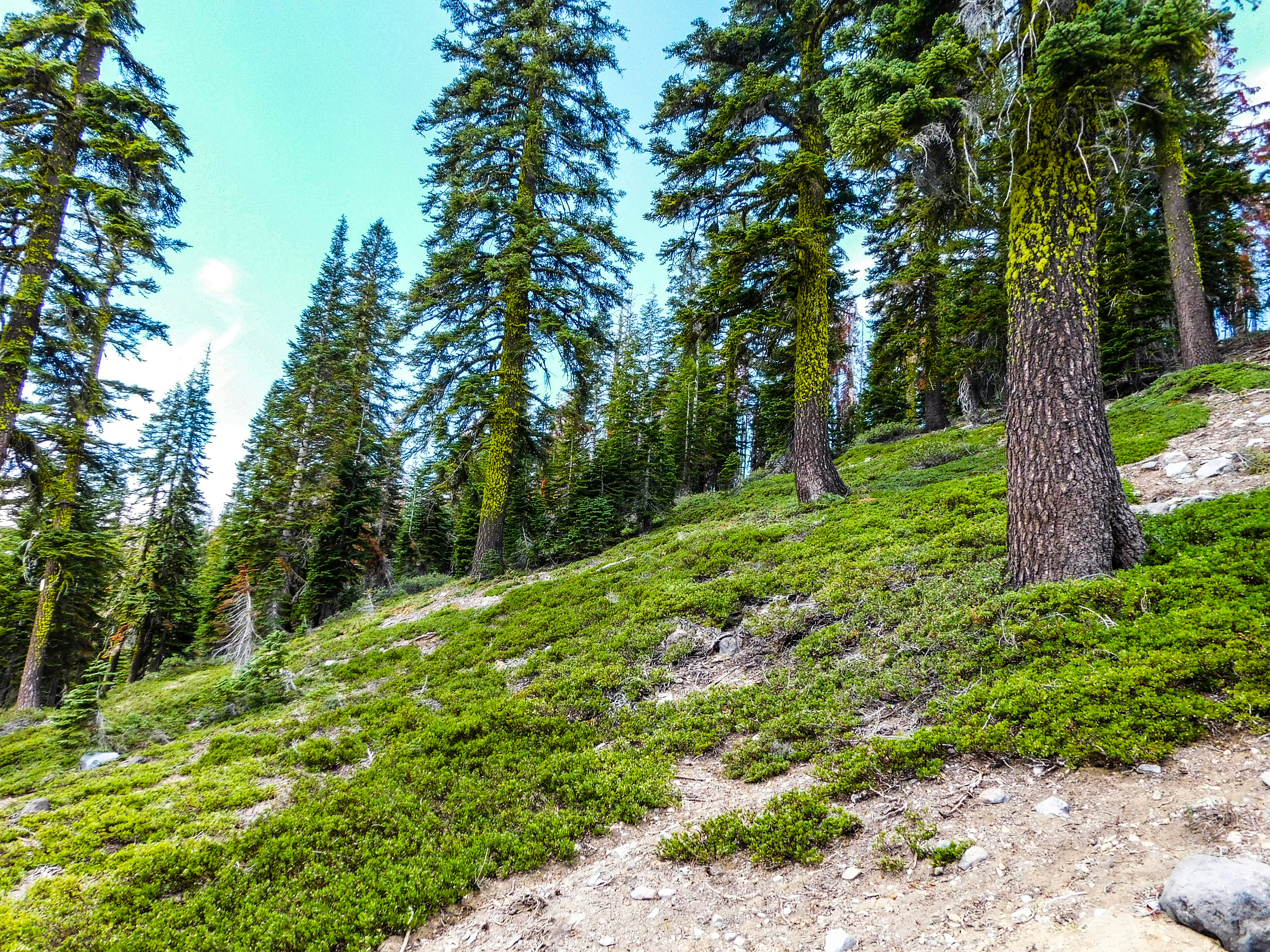 Photo by prphotography262