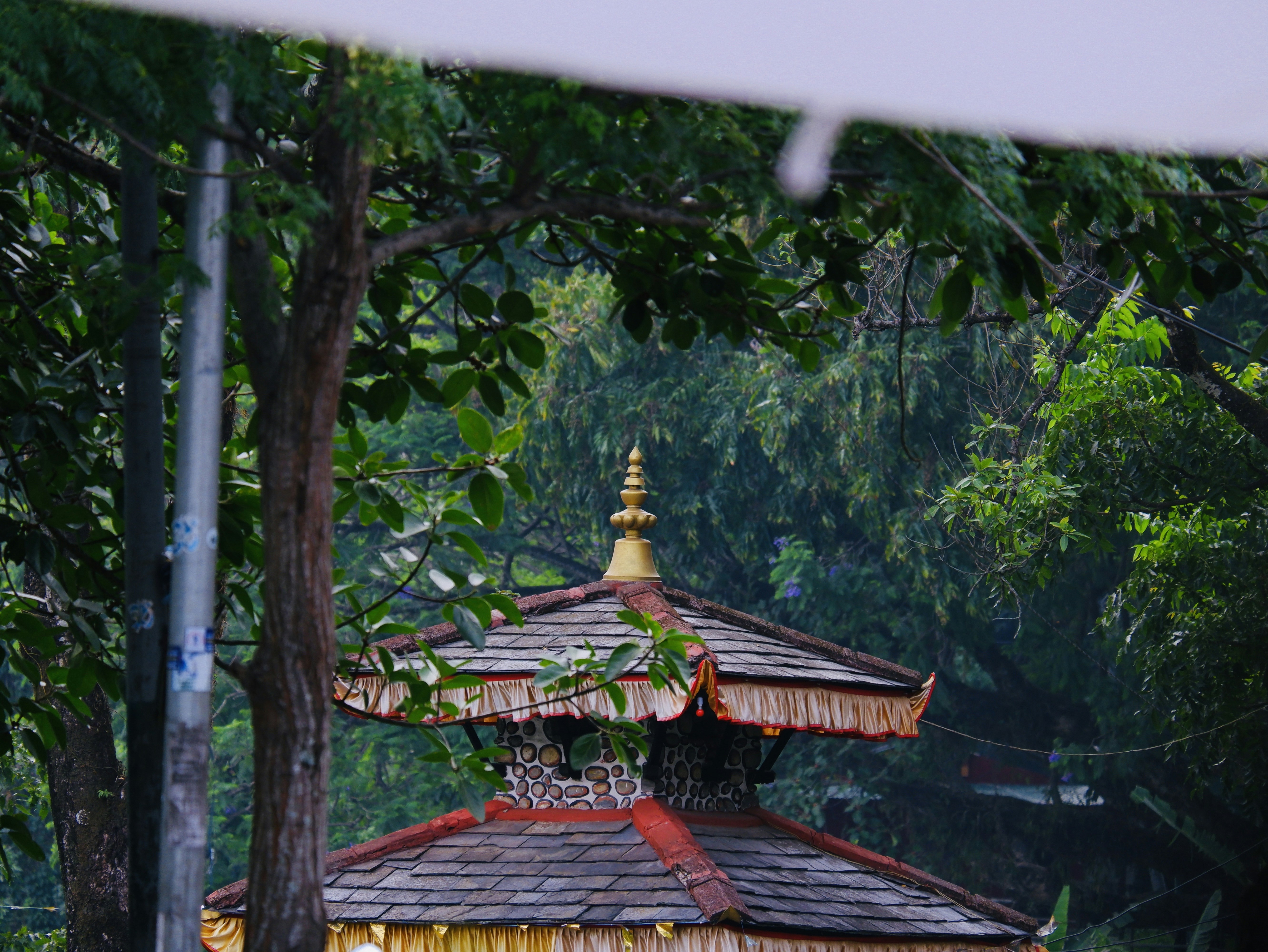Photo by rakshityadav190