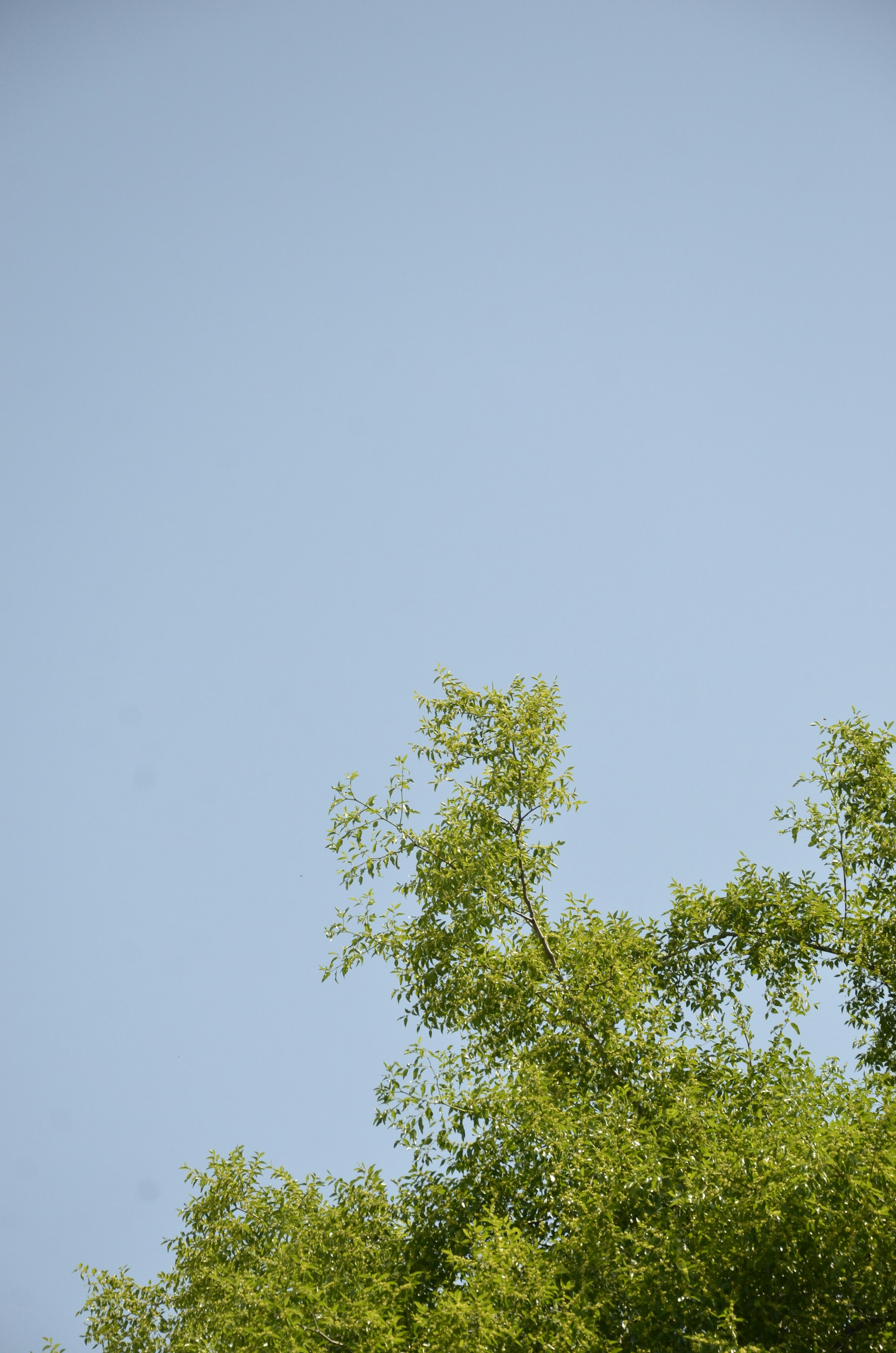 woman wearing yellow long-sleeved dress under white clouds and blue sky during daytime