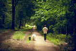 A scenic walking trail near the hotel with a dog and owner enjoying a peaceful stroll