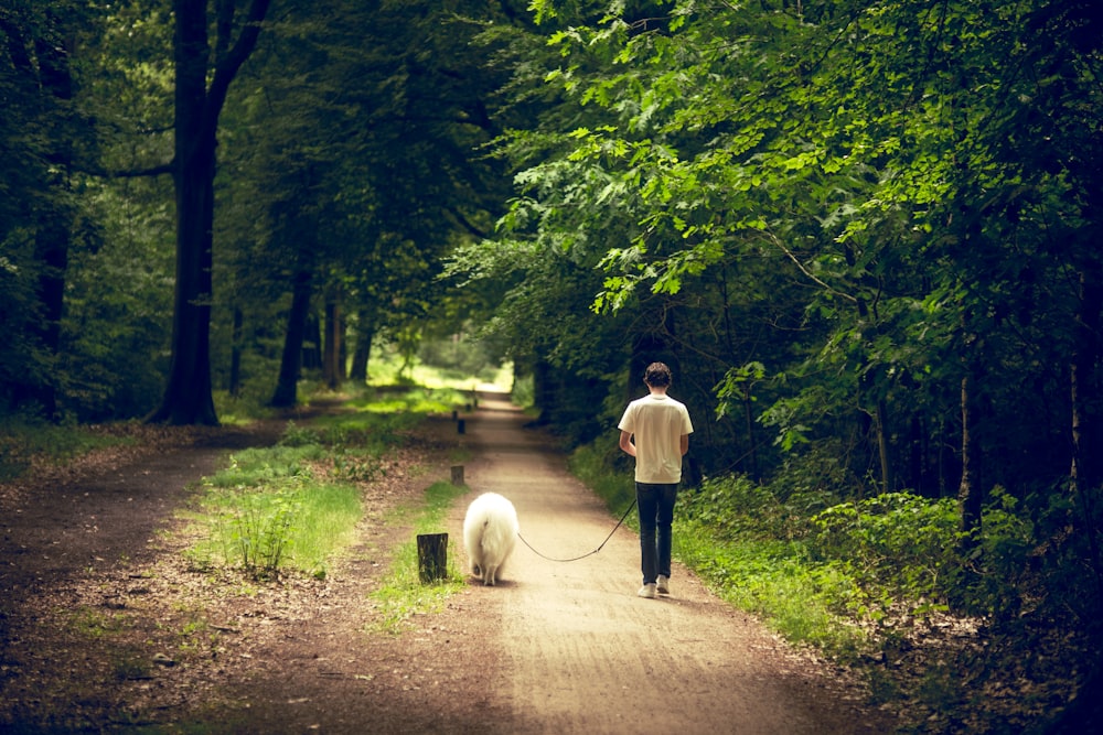a man walking a dog down a dirt road