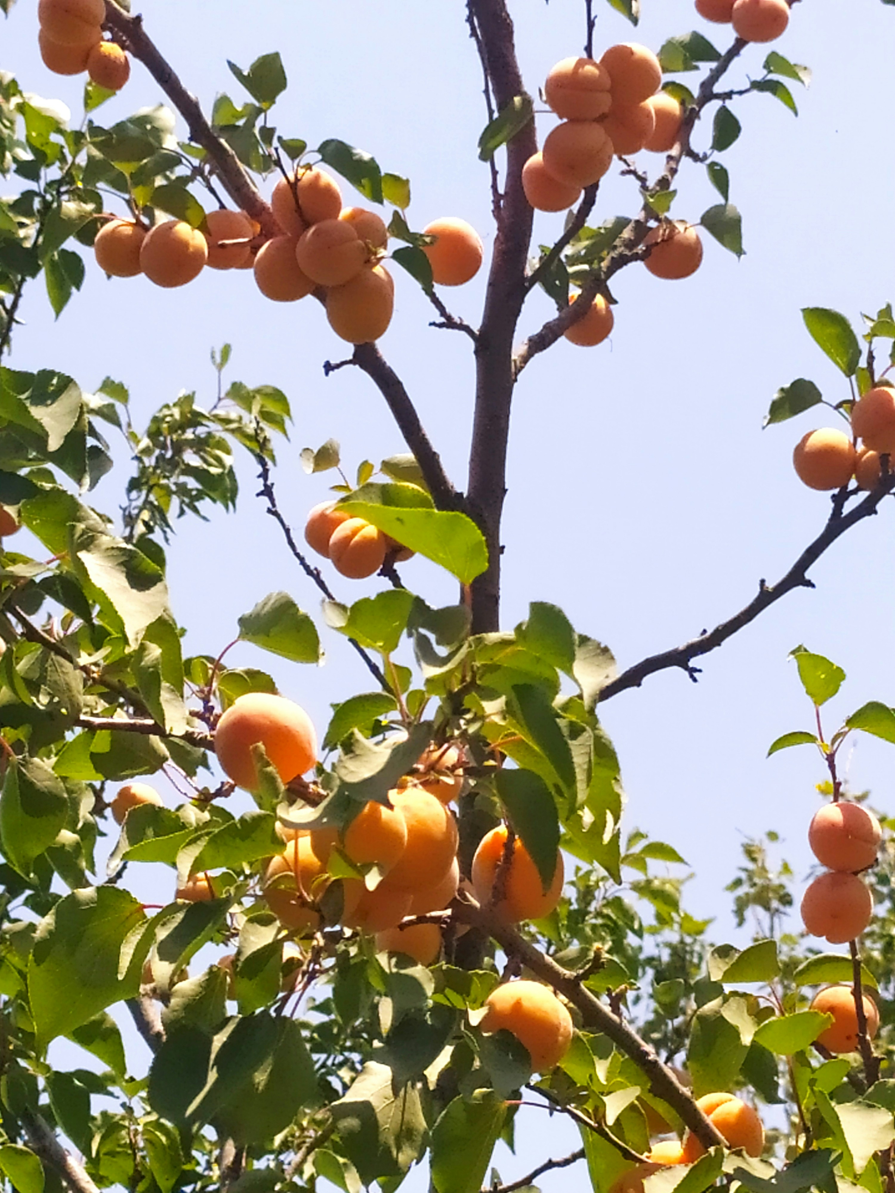 Photo by parvana_mahmudlu