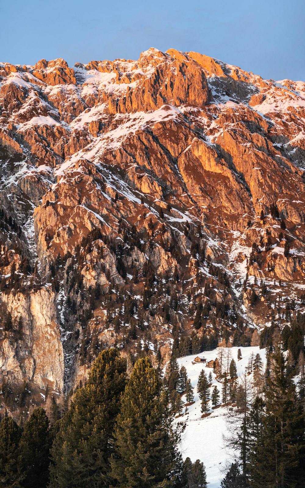 a mountain covered in snow with trees in the foreground