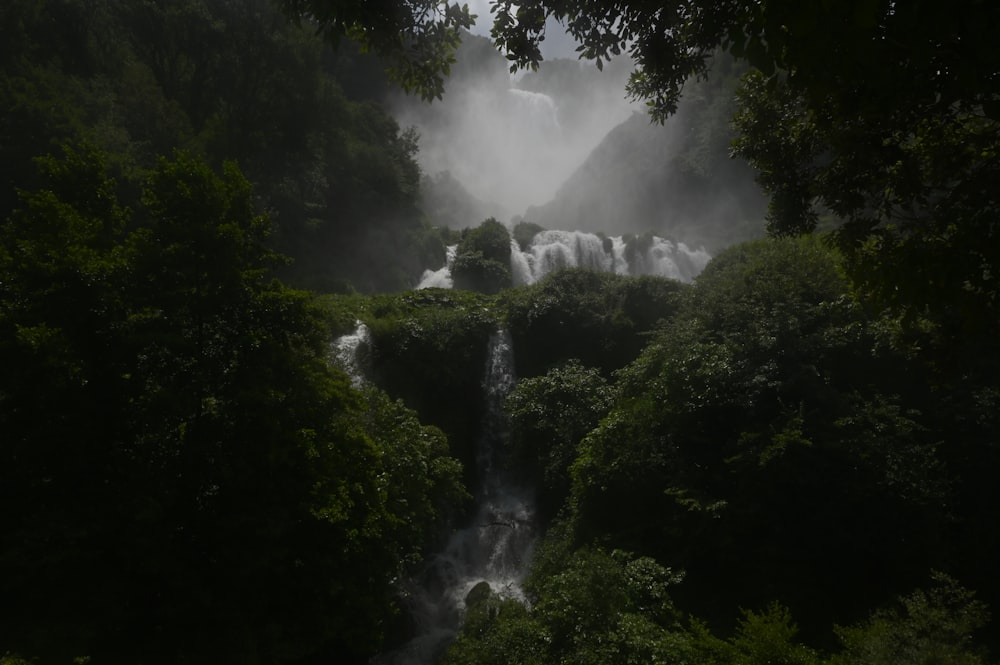 a waterfall in the middle of a forest