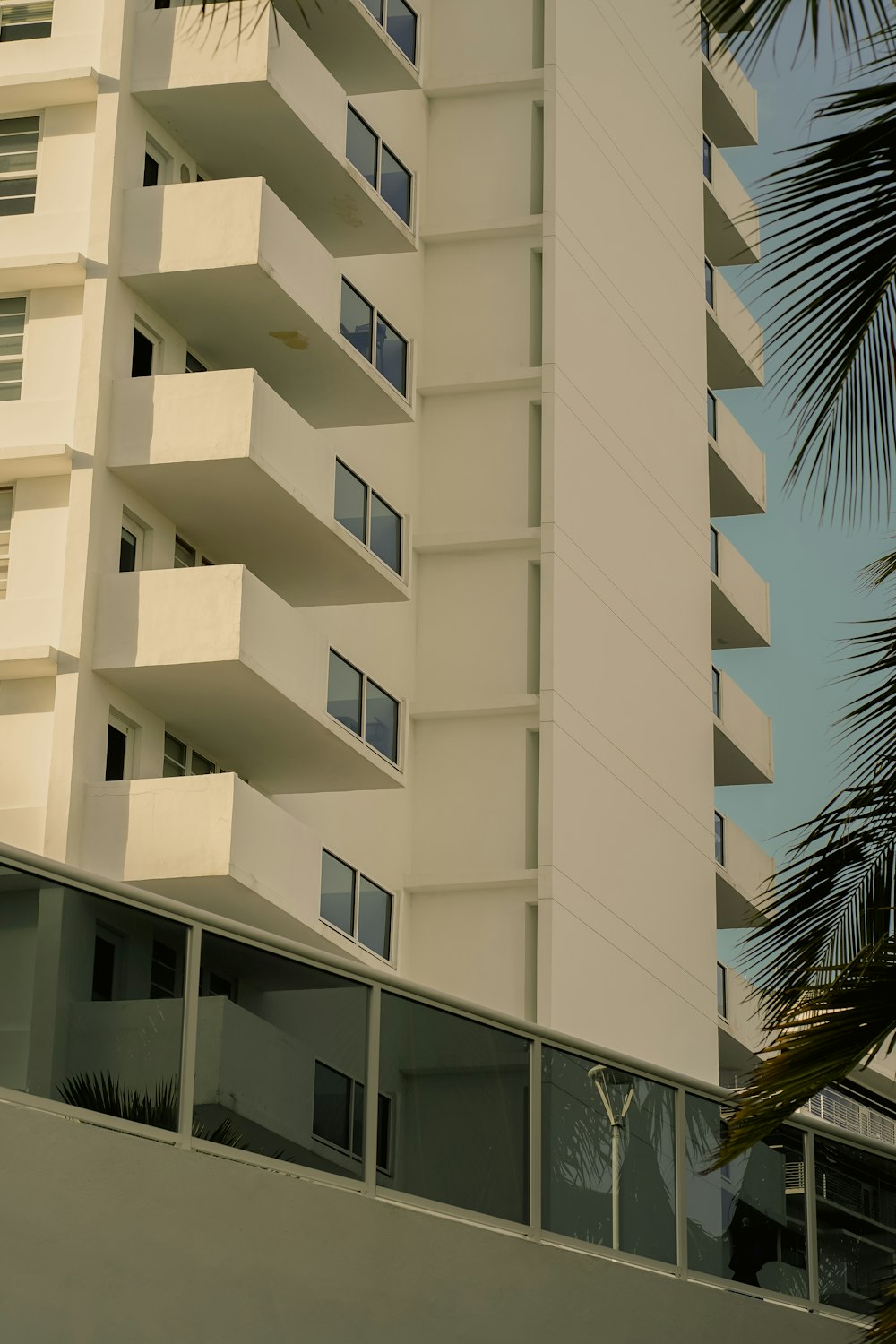 a tall white building sitting next to a palm tree