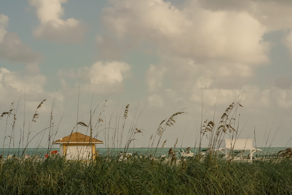 a gazebo sitting in the middle of tall grass