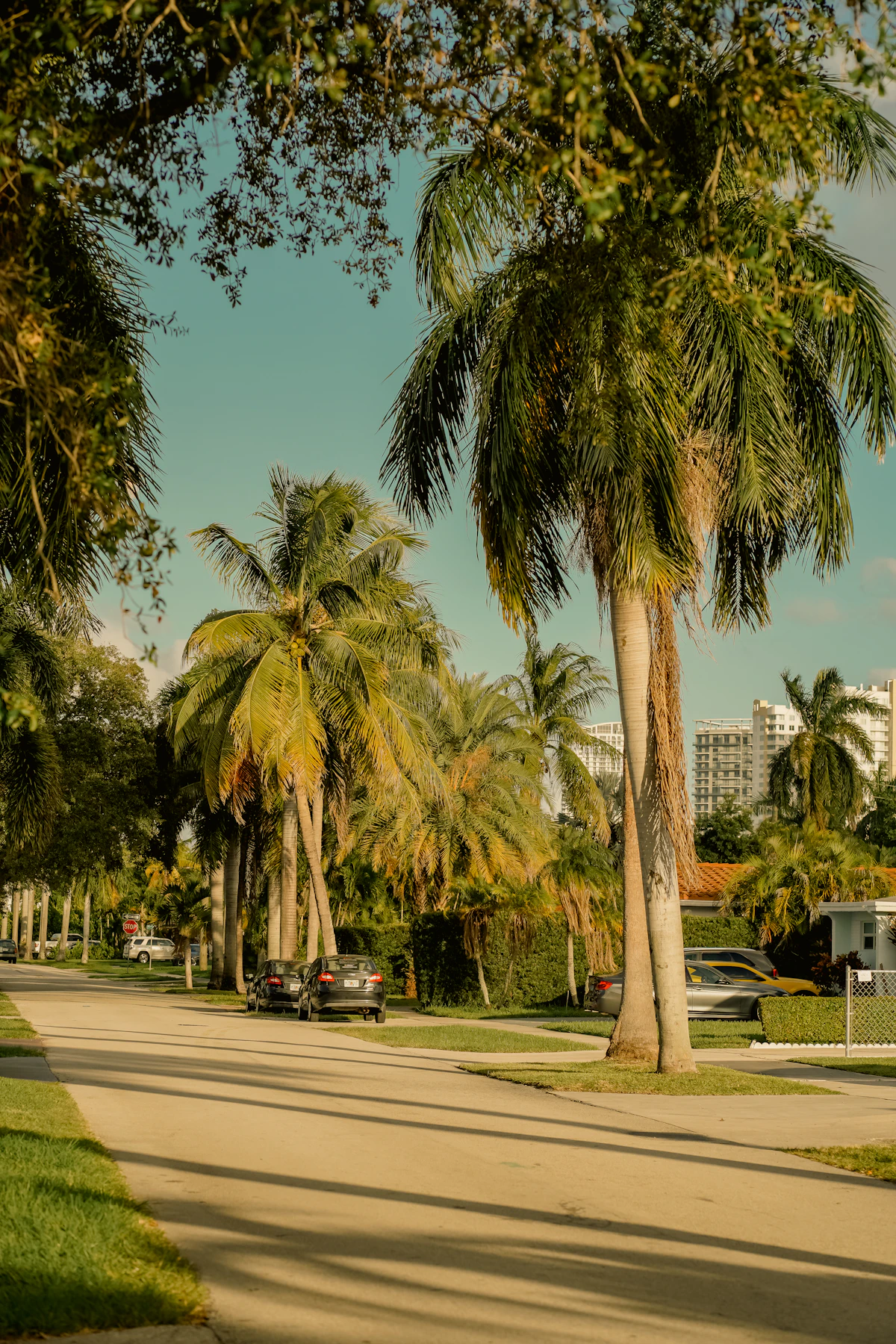 Residential street in one of the Poinciana Villages