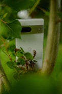 A smartphone is placed vertically among green leaves and branches, partially obscured by foliage. The device has a metallic strip near its top and a letter 'G' on its back.