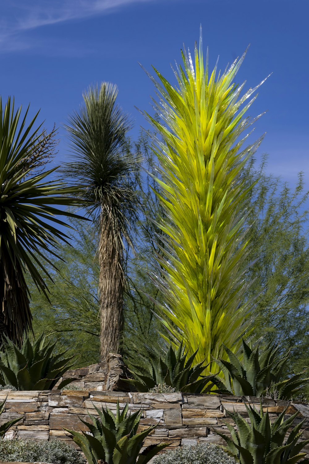 a couple of palm trees sitting next to each other