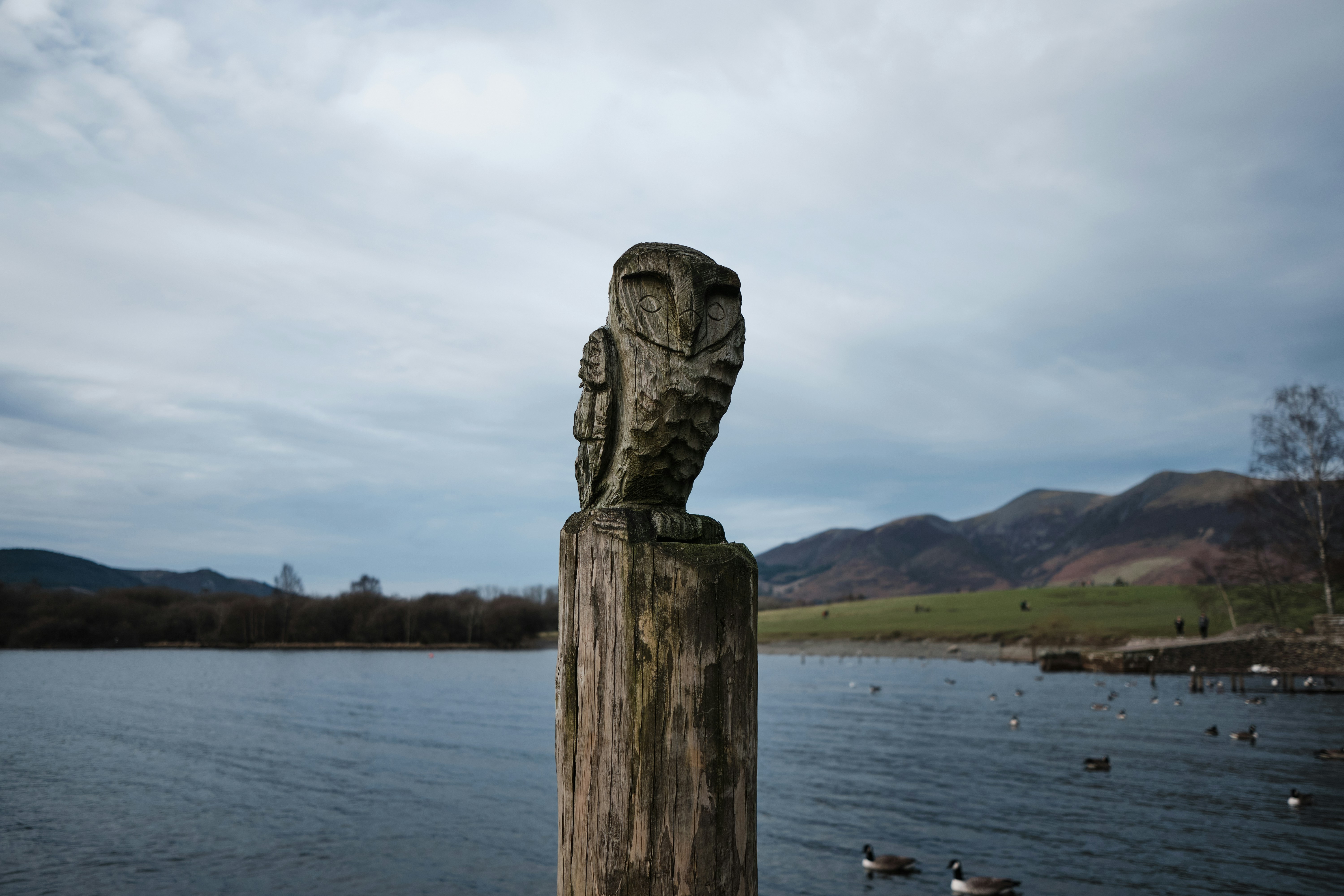 a statue of an owl sitting on top of a wooden post