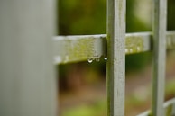 Close-up of intricate lattice work on a garden arbor with climbing vines and morning dew.