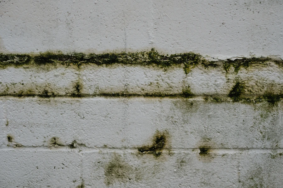 Before: render wall stained with black algae