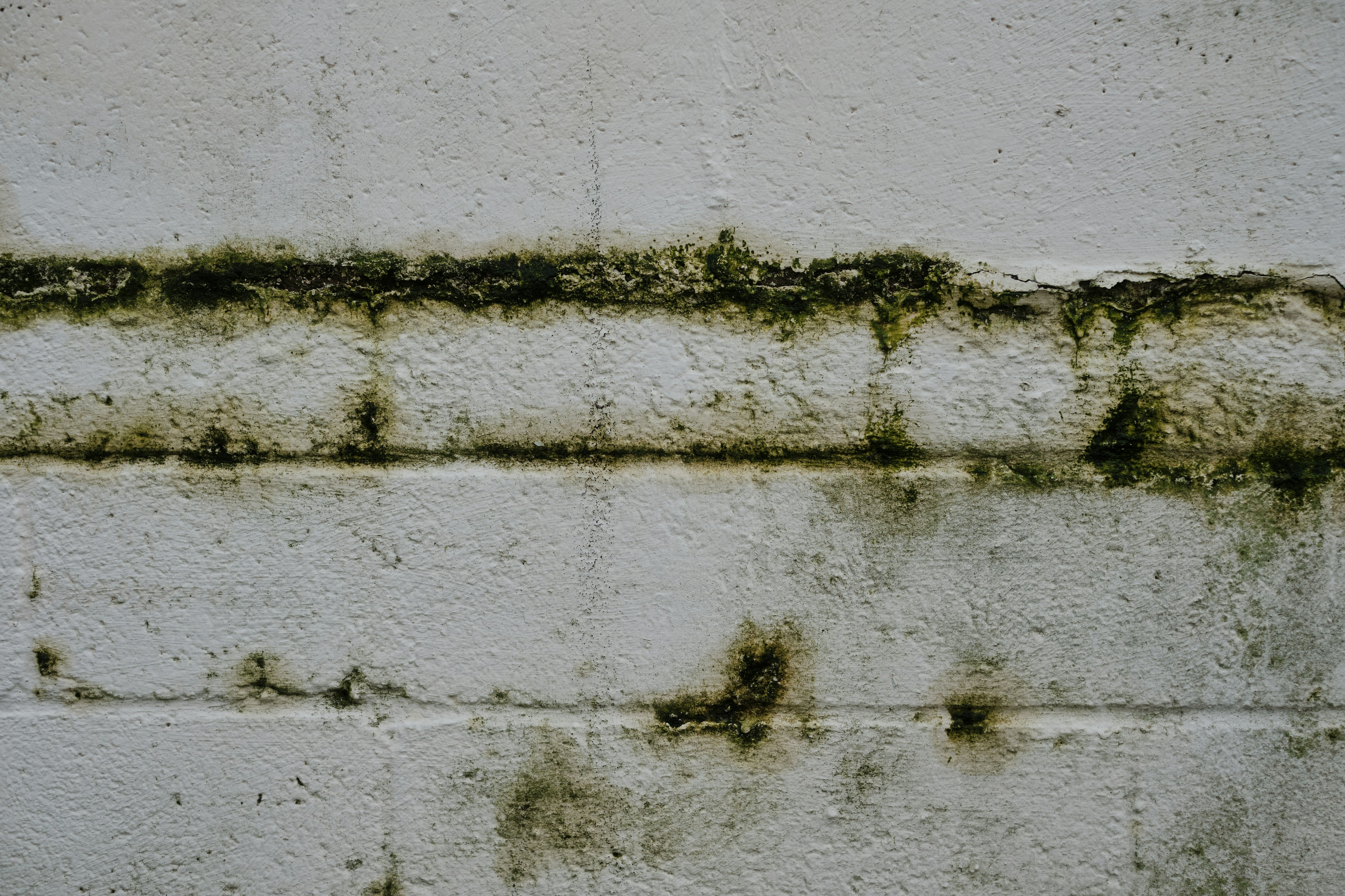 a close up of a brick wall with moss growing on it