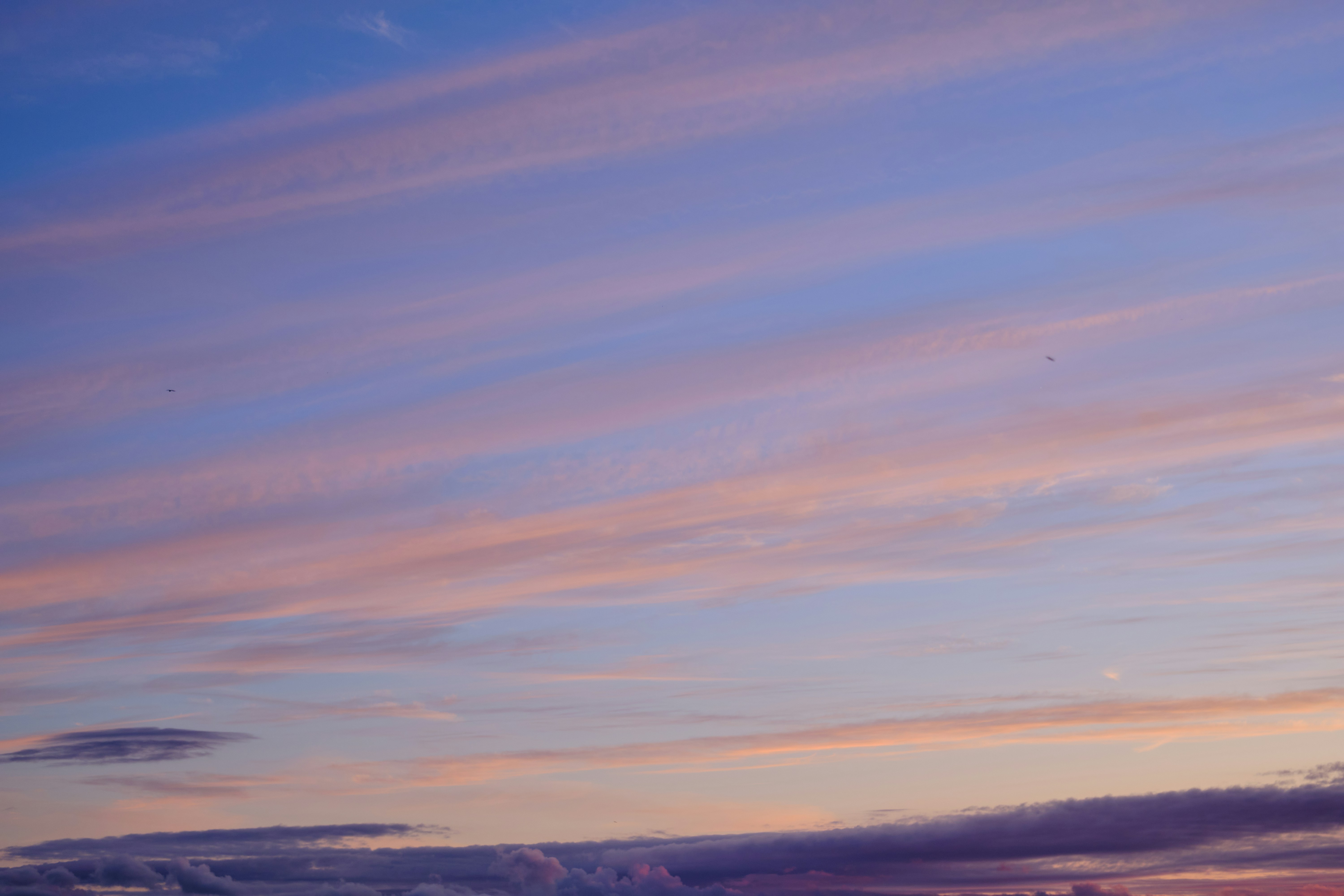 Photo by frostroomhead