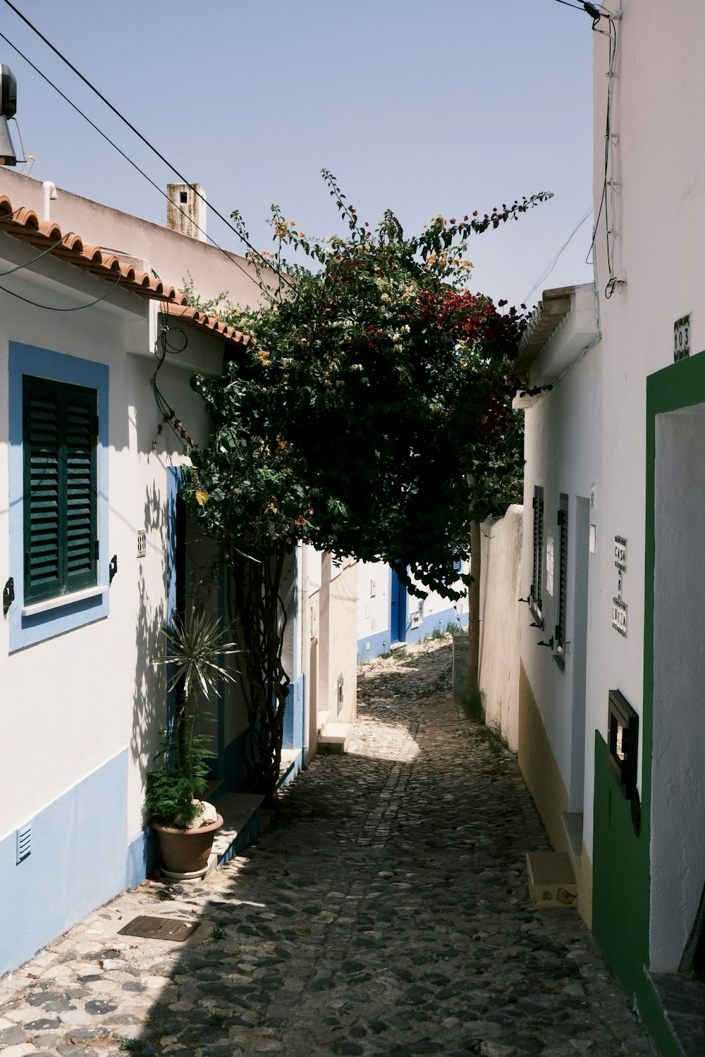 a cobblestone street with blue shutters and a tree