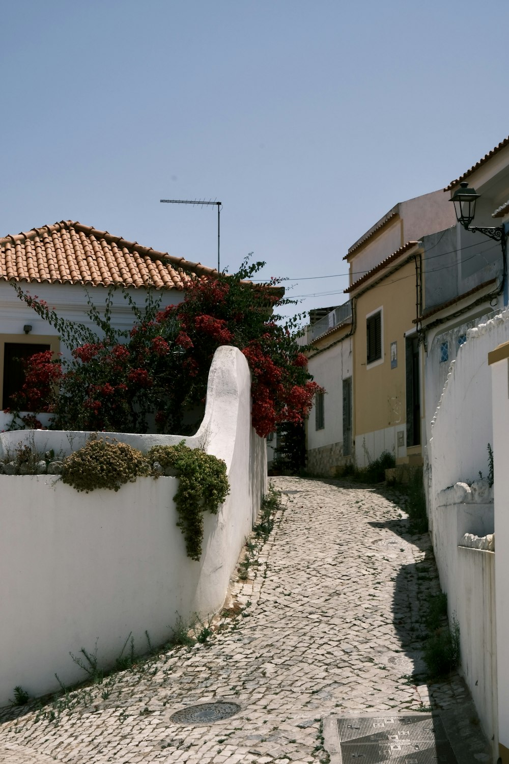 a cobblestone street with a white wall and red flowers