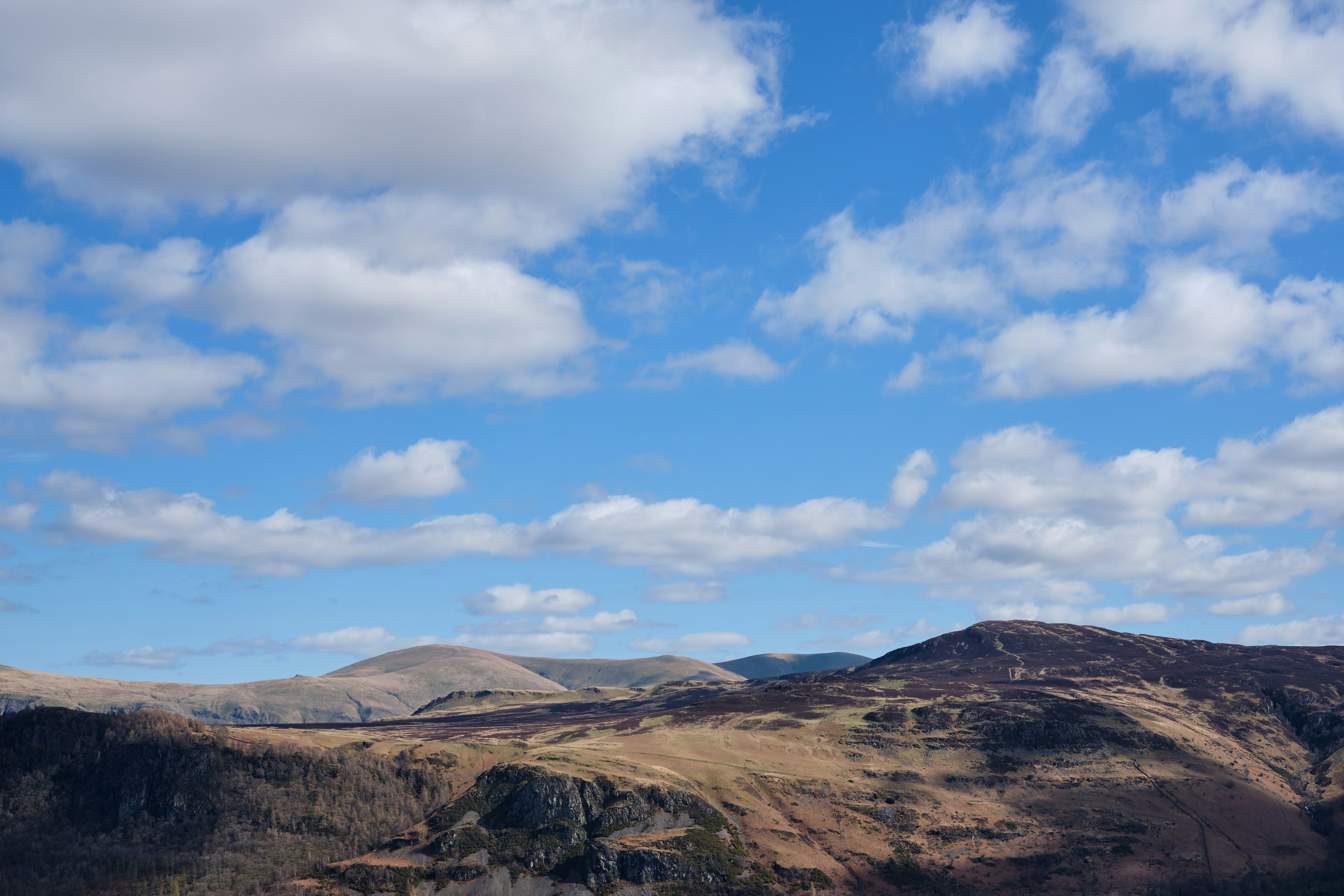 Photo by frostroomhead