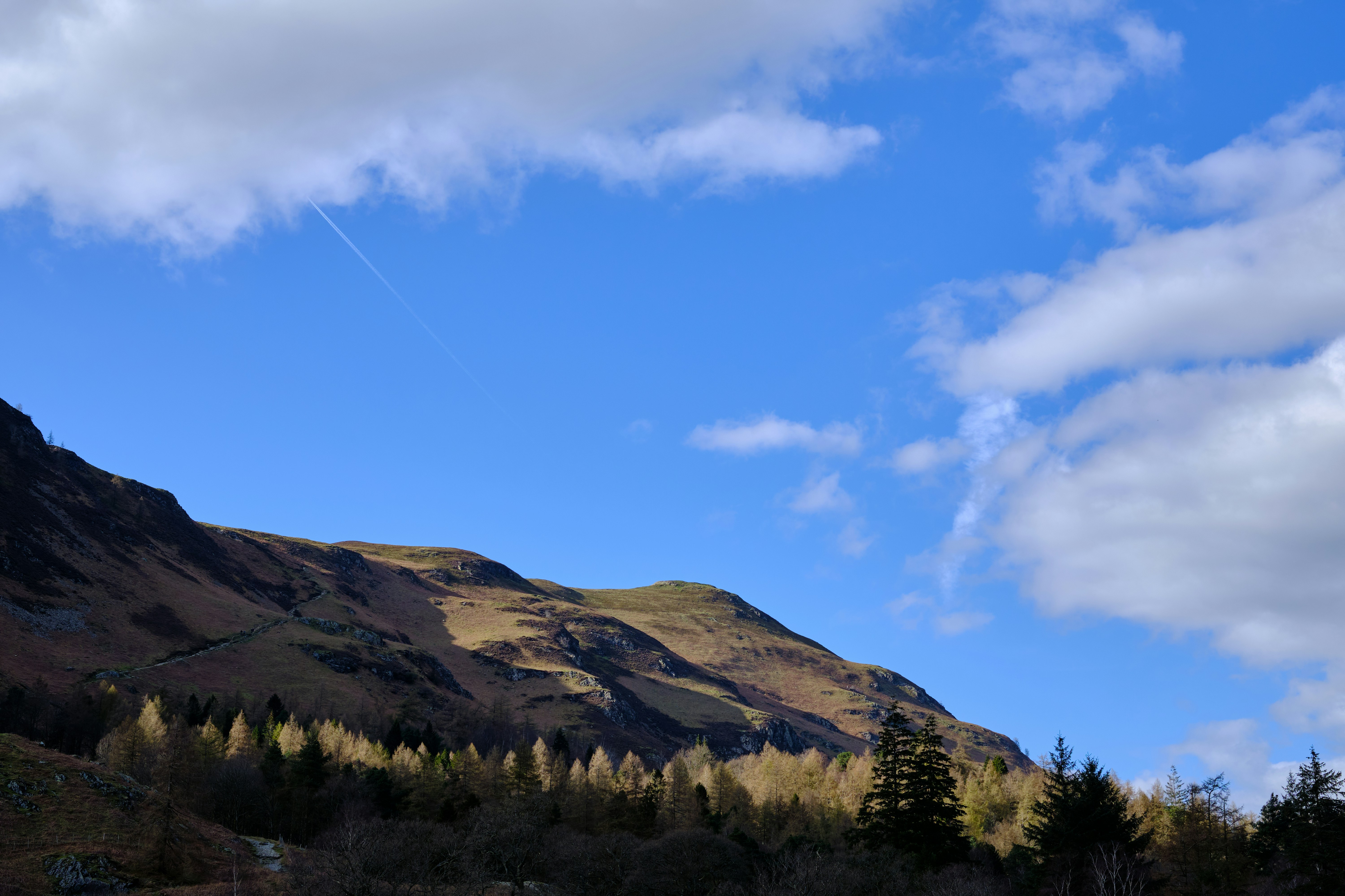 Photo by frostroomhead