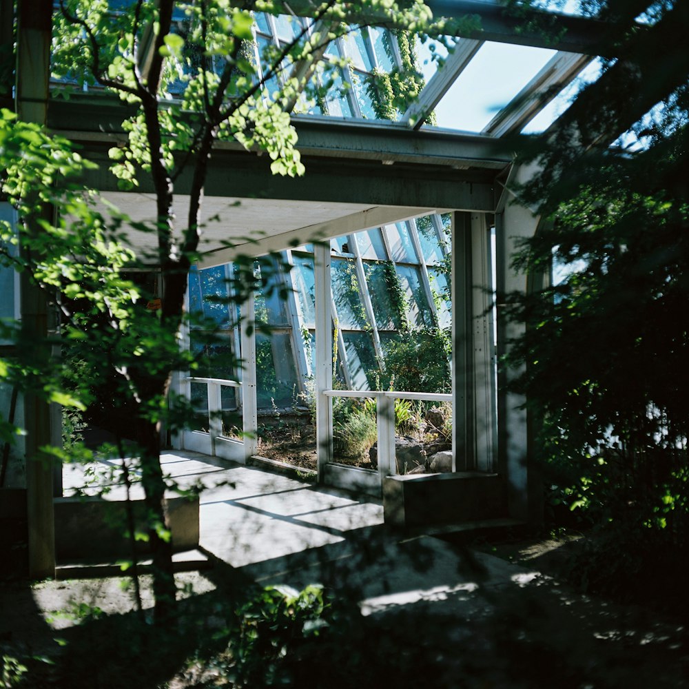 a building with a glass roof and plants inside of it