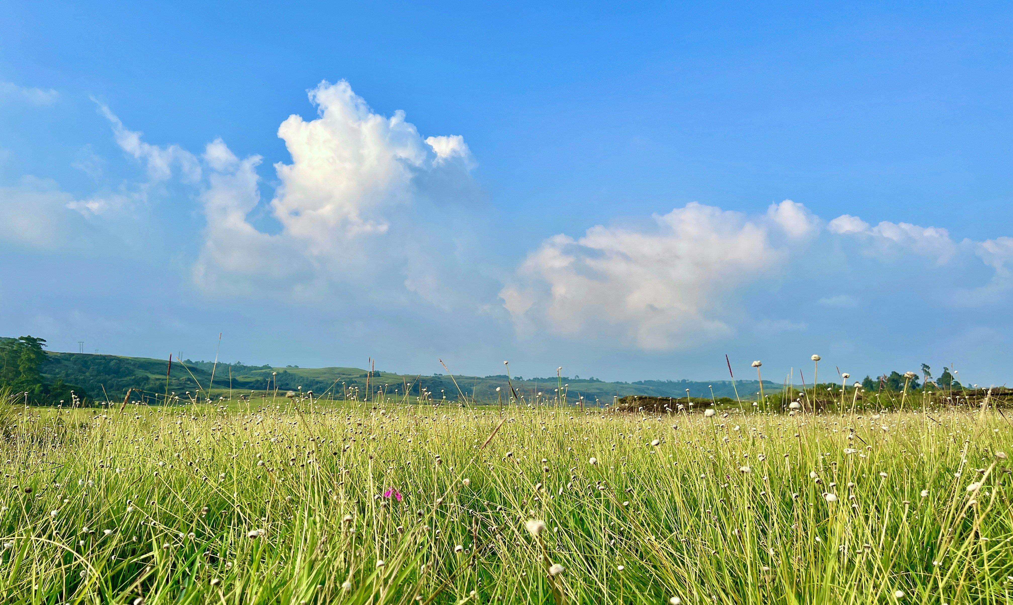 Photo by sheikhmehedi