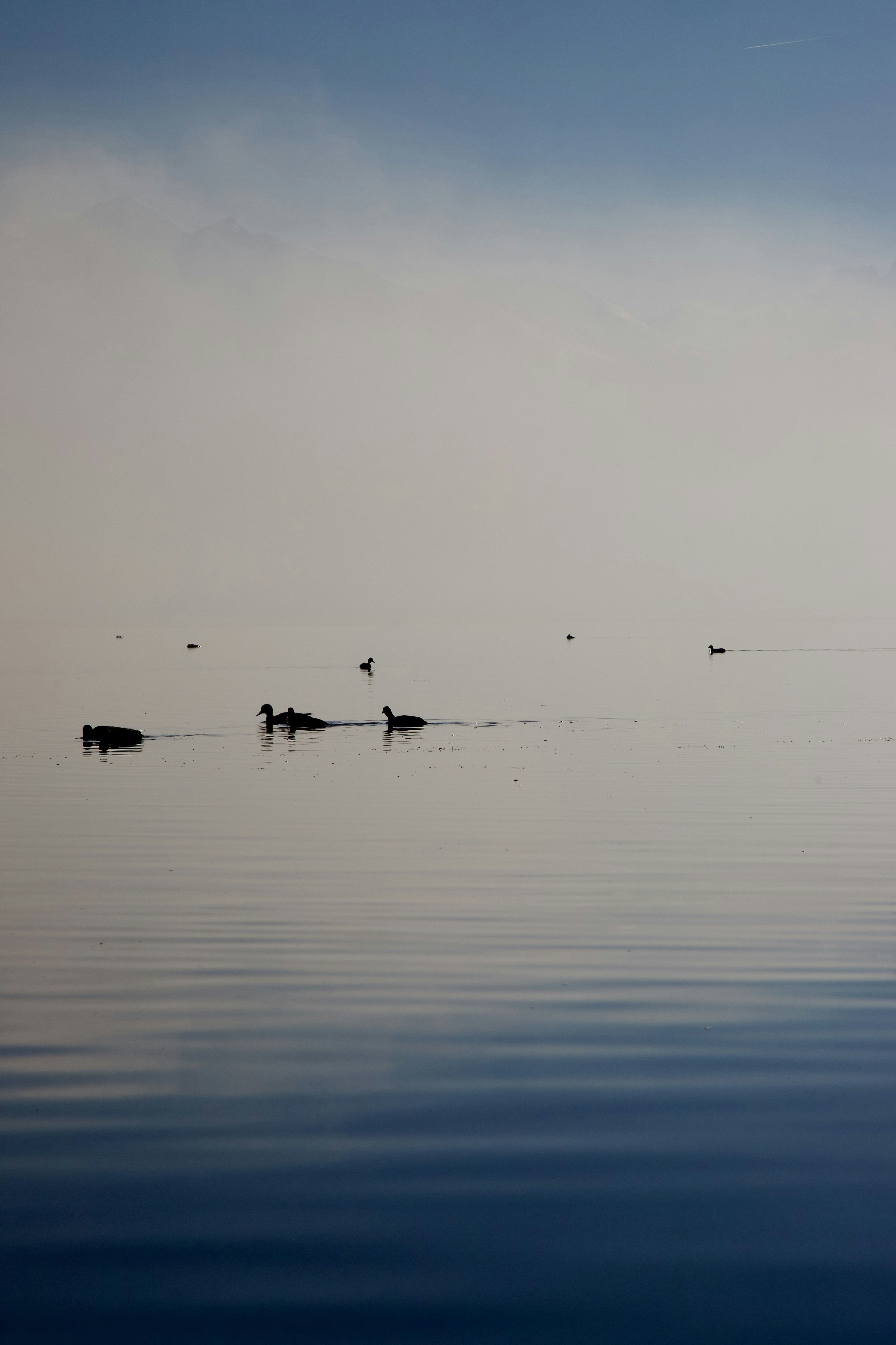 Photo by stockbirken