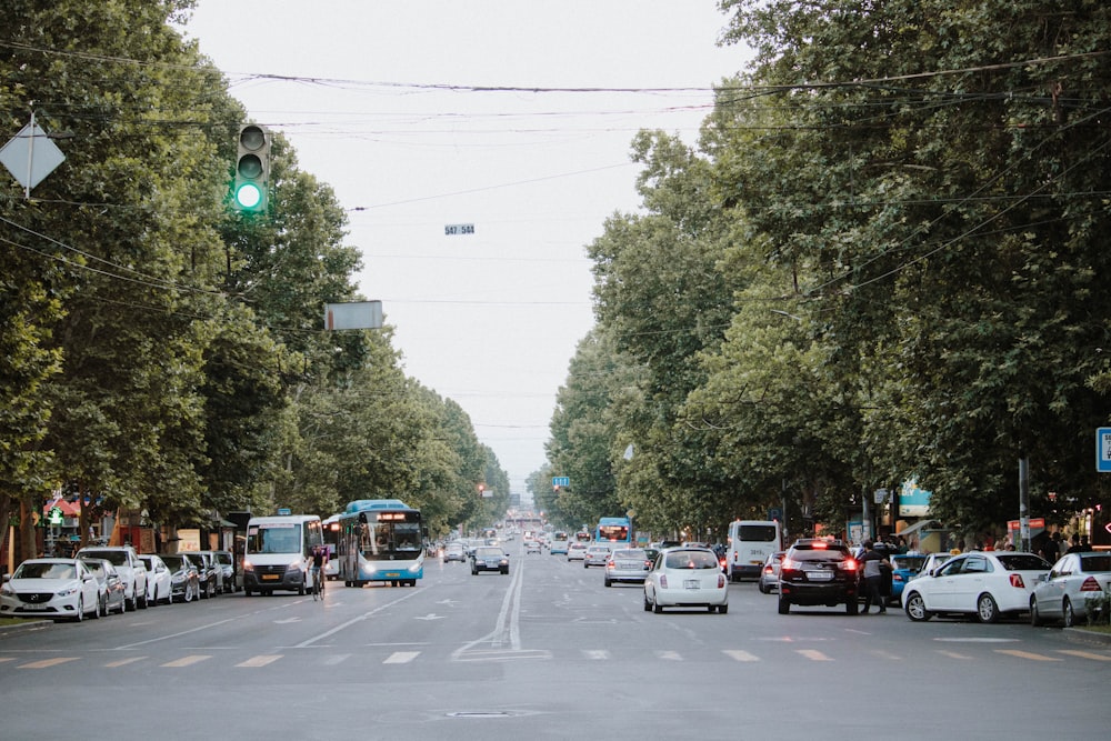 a street filled with lots of traffic next to tall trees