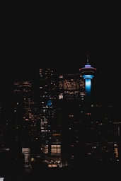 a view of a city at night from a distance