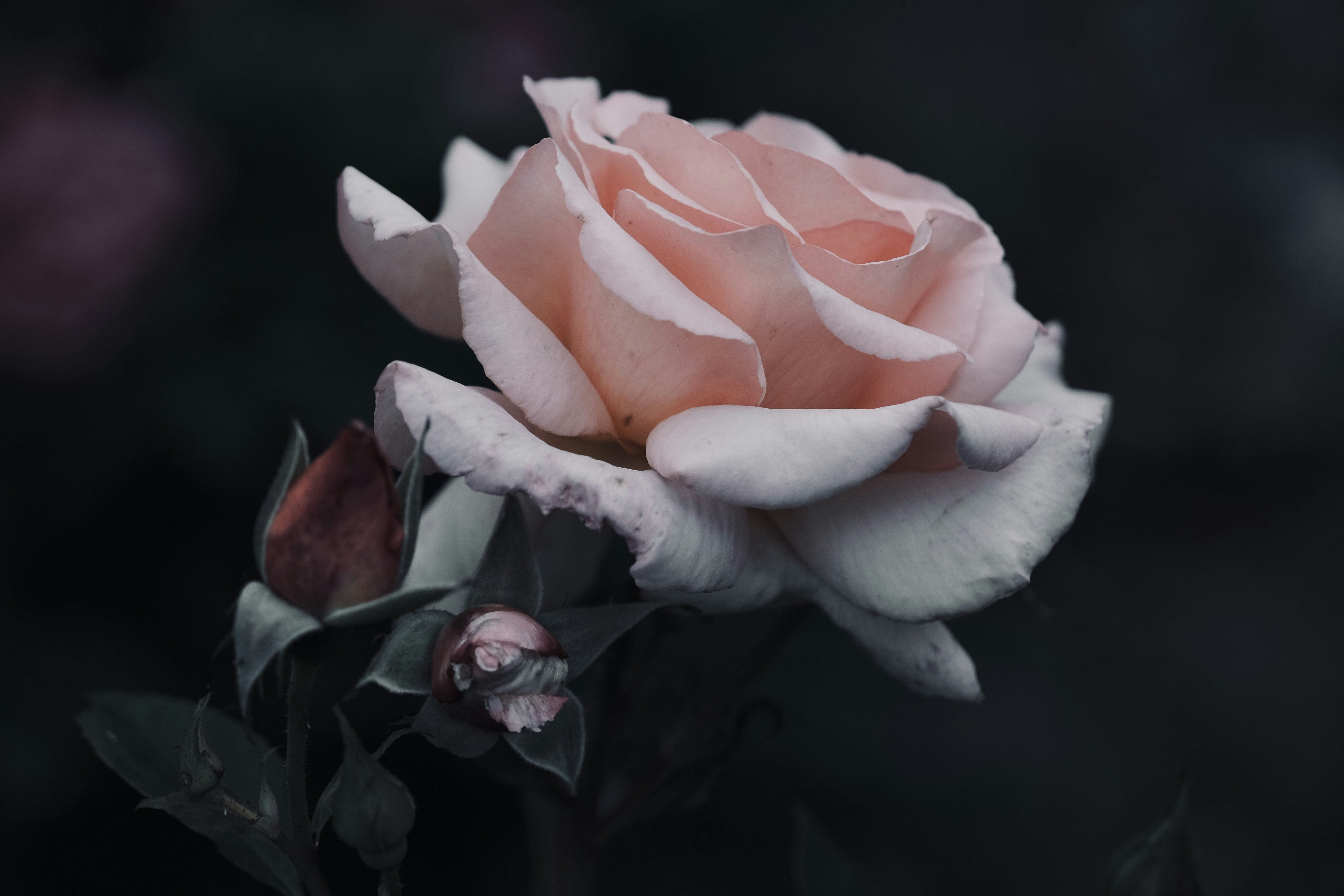 Photo by mkrawczynski