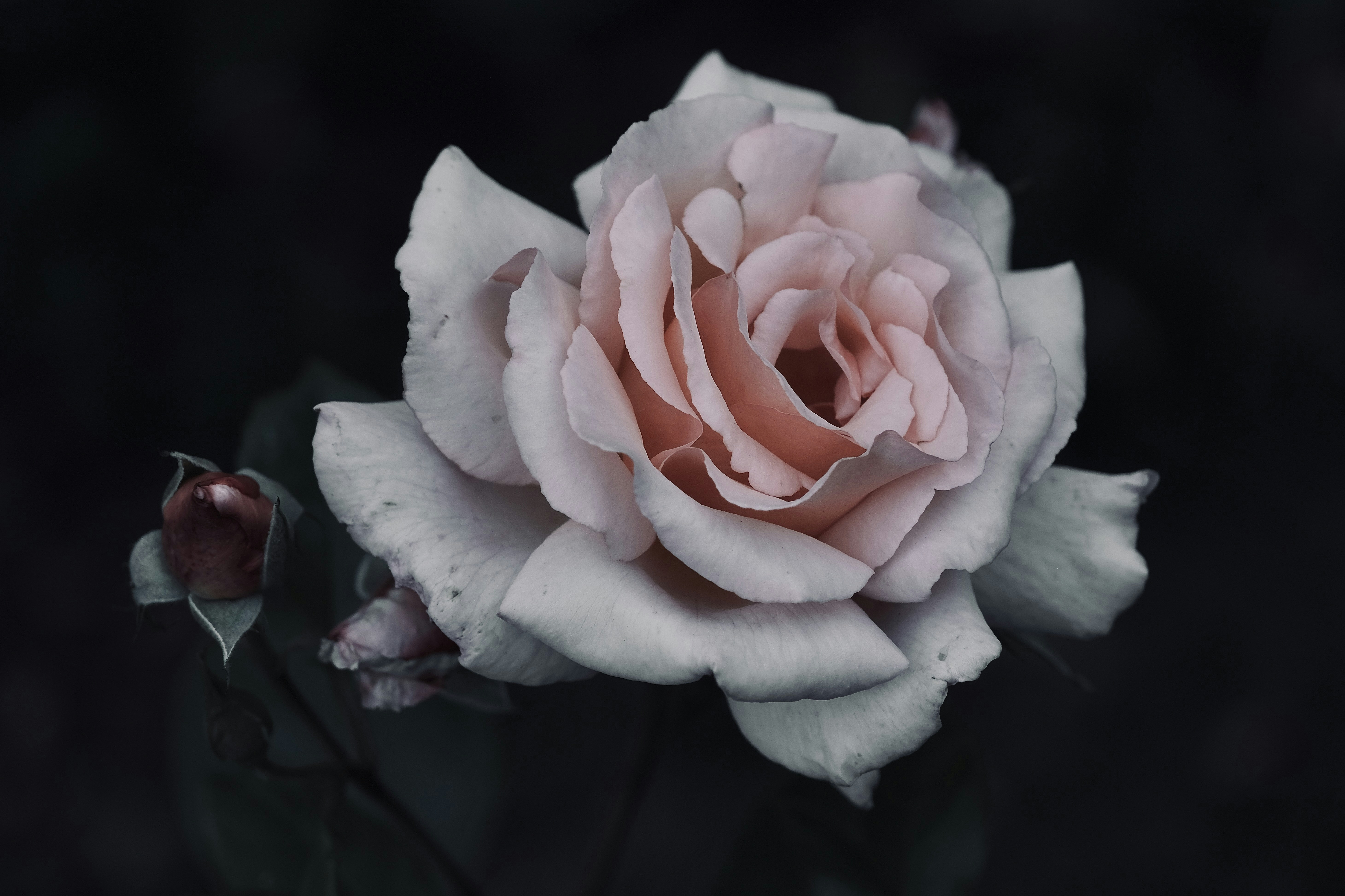 Photo by mkrawczynski