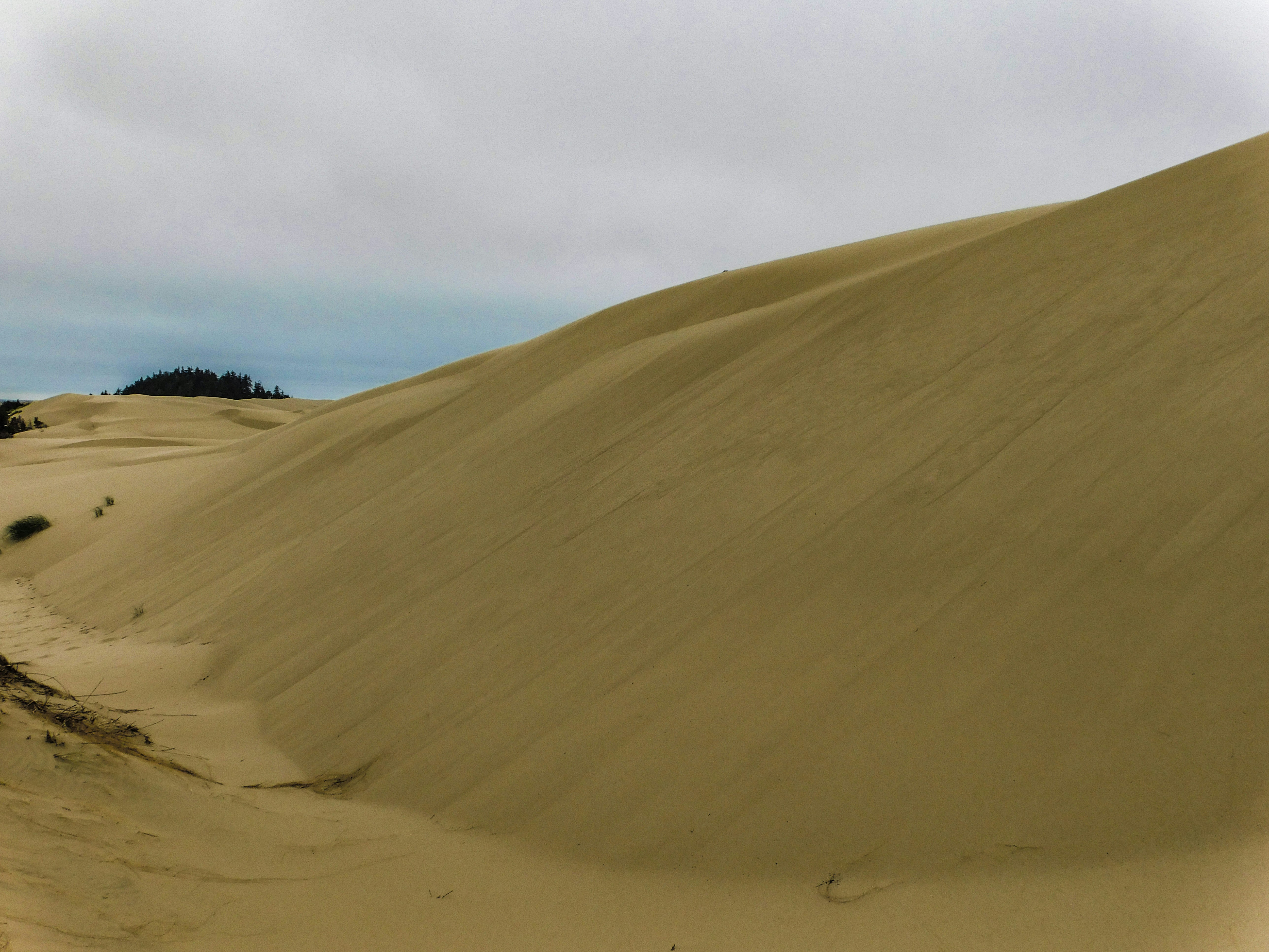 Photo by prphotography262