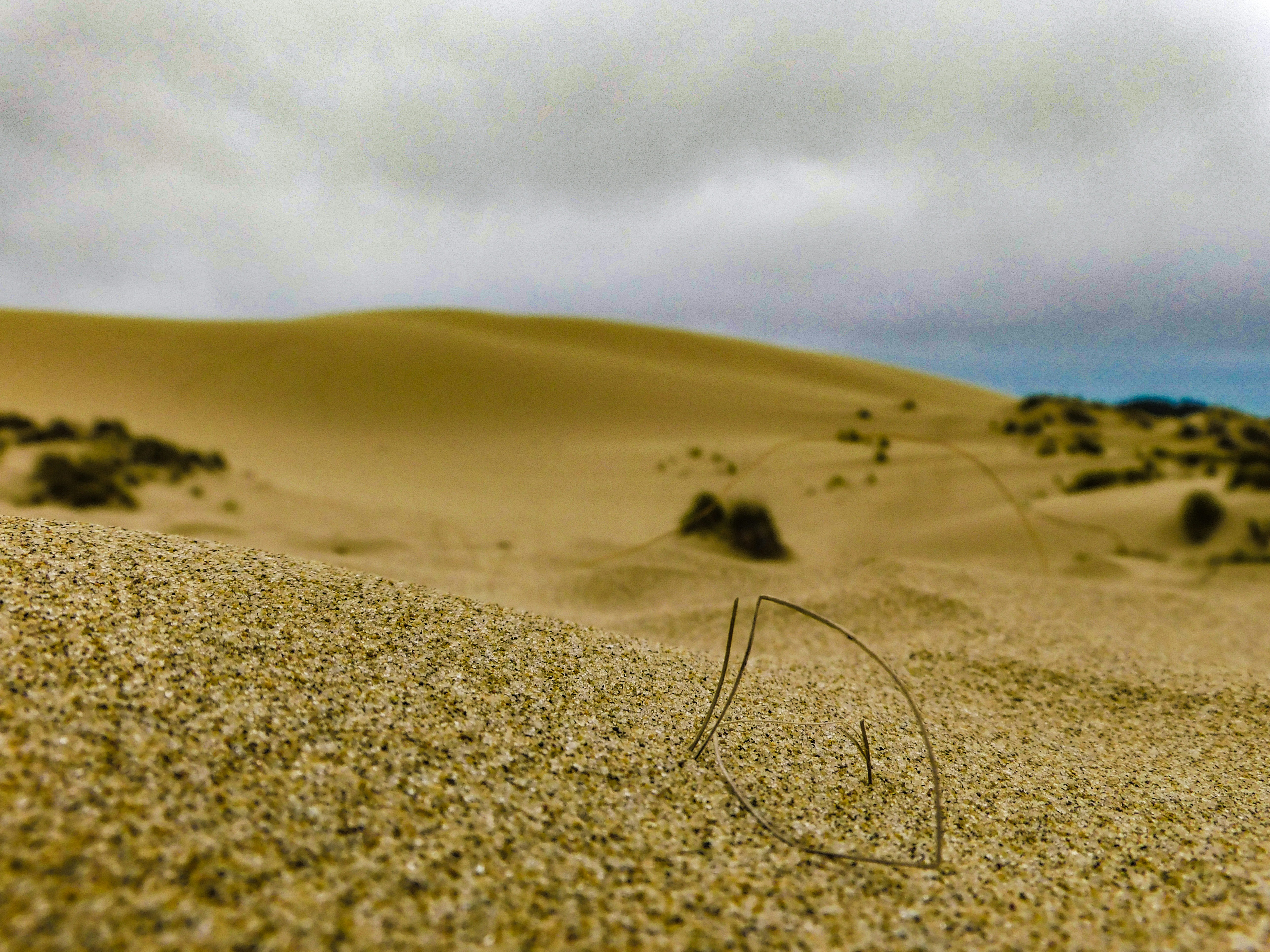 Photo by prphotography262