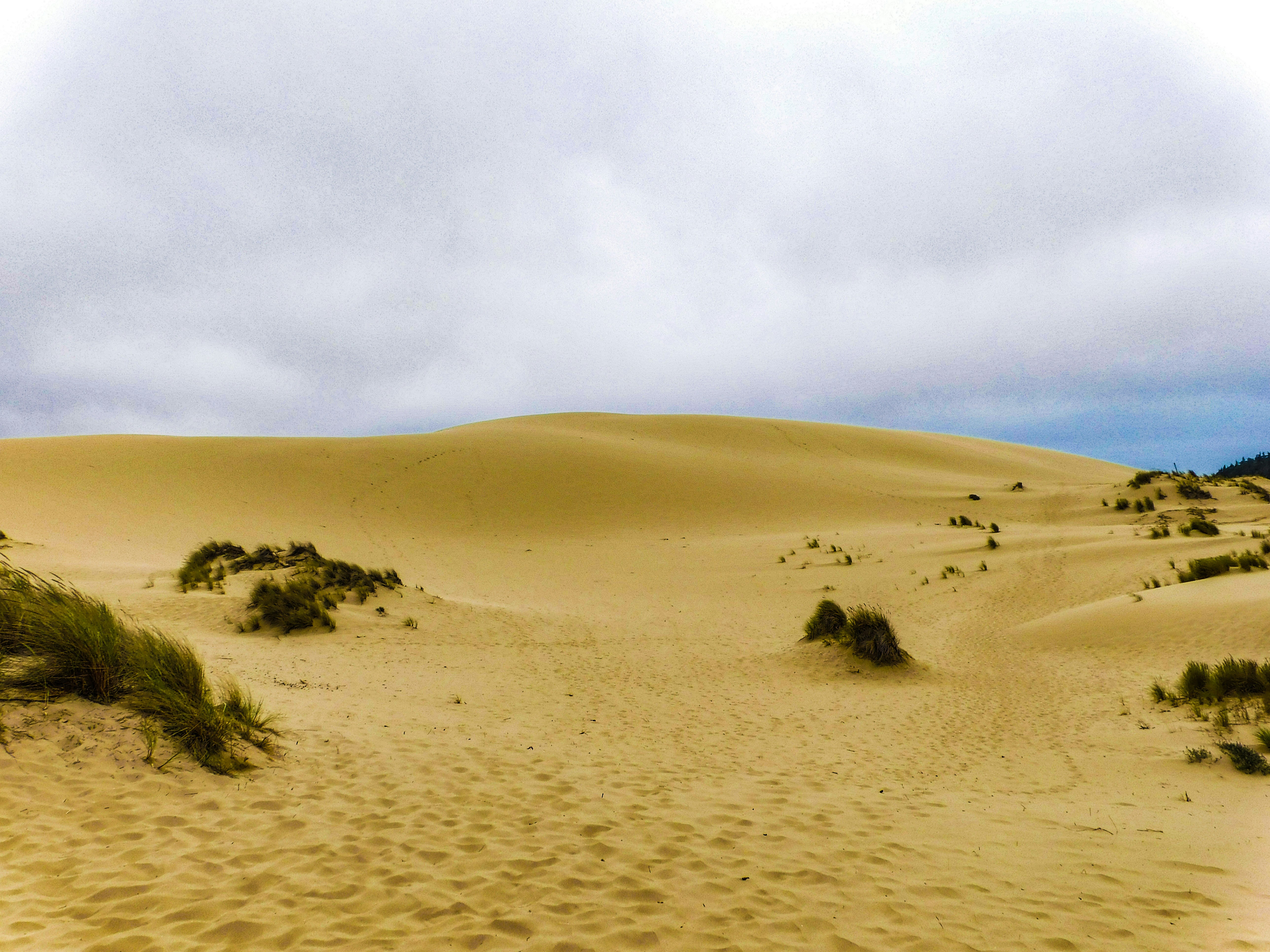 Photo by prphotography262