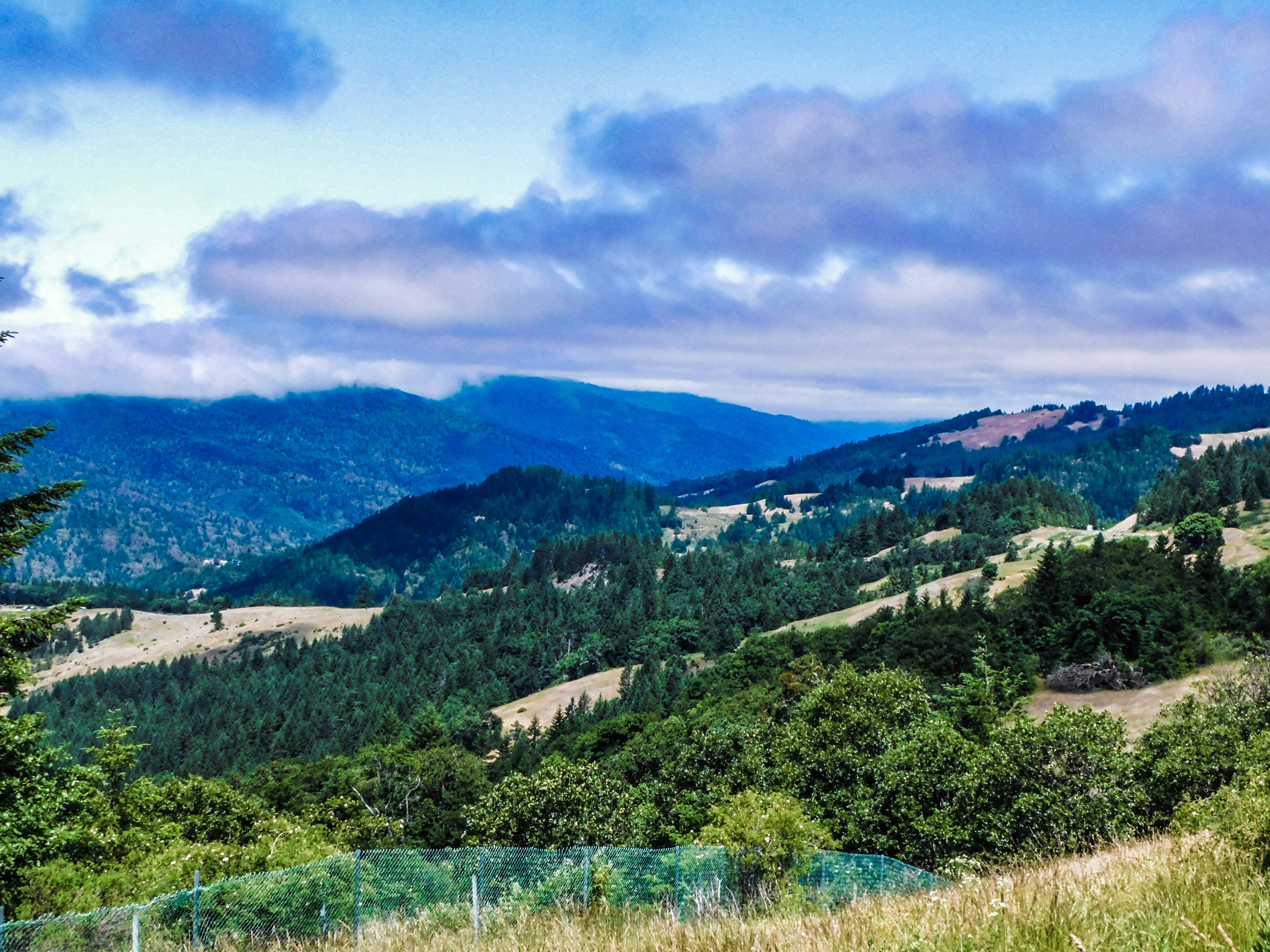 Photo by prphotography262