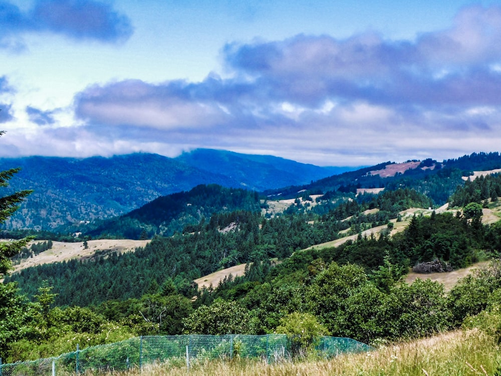 a view of a mountain range with trees and mountains in the background