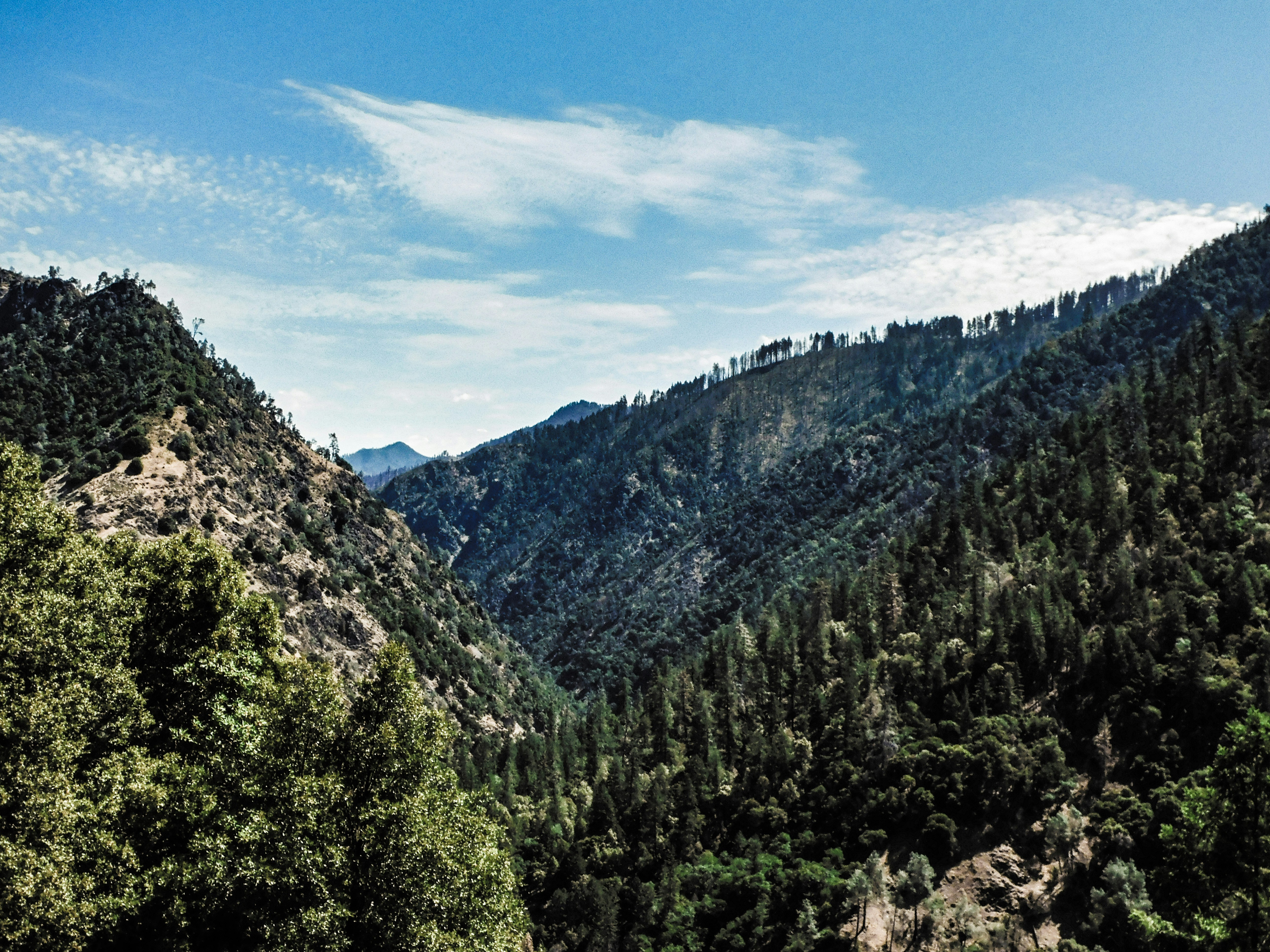 Photo by prphotography262